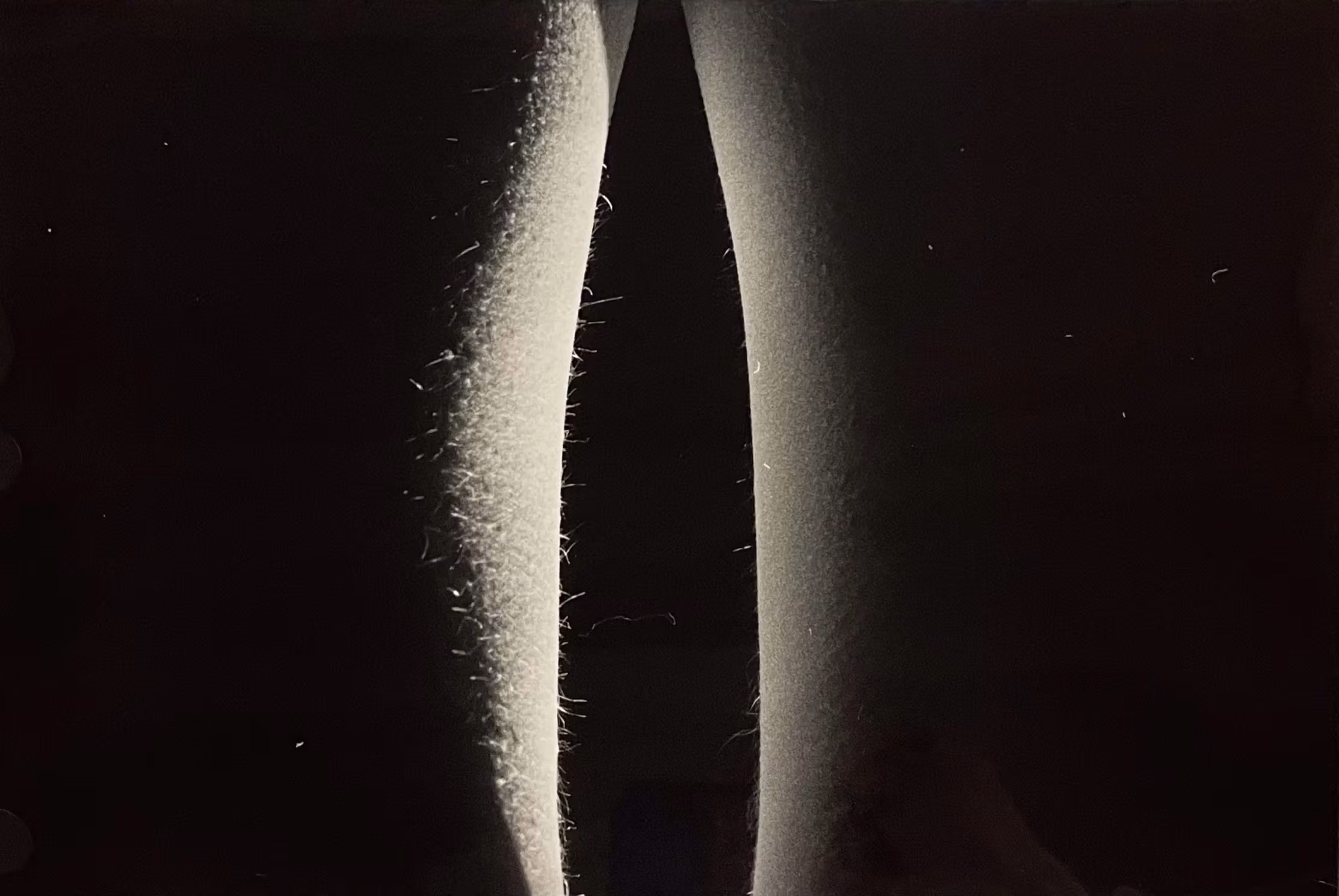 how strange is it to be anything at all