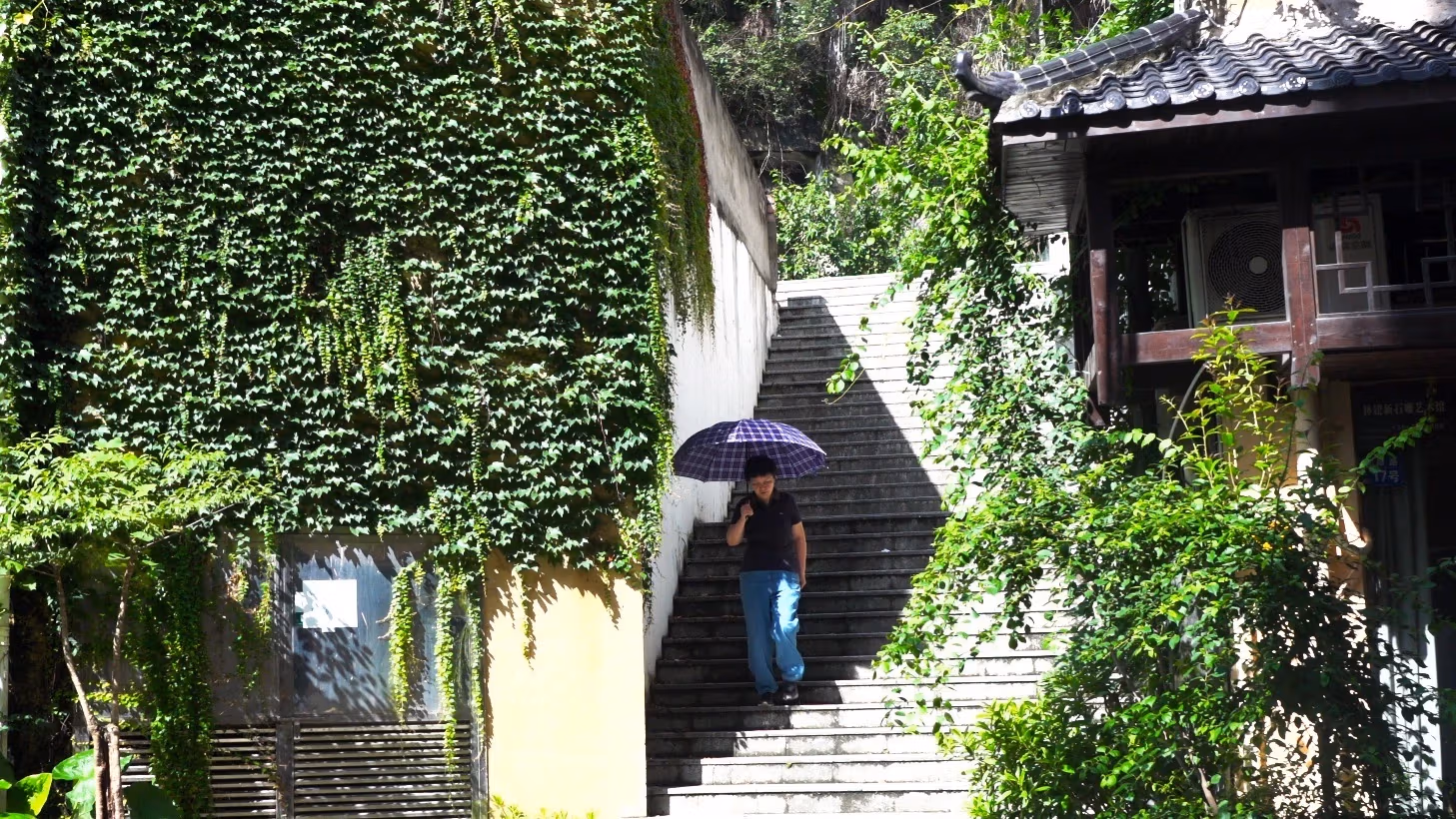 woman walks down stone steps under an umbrella, she is in the shade surrounded by sunshine, there is ivy on both sides of the steps