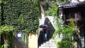 woman walks down stone steps under an umbrella, she is in the shade surrounded by sunshine, there is ivy on both sides of the steps