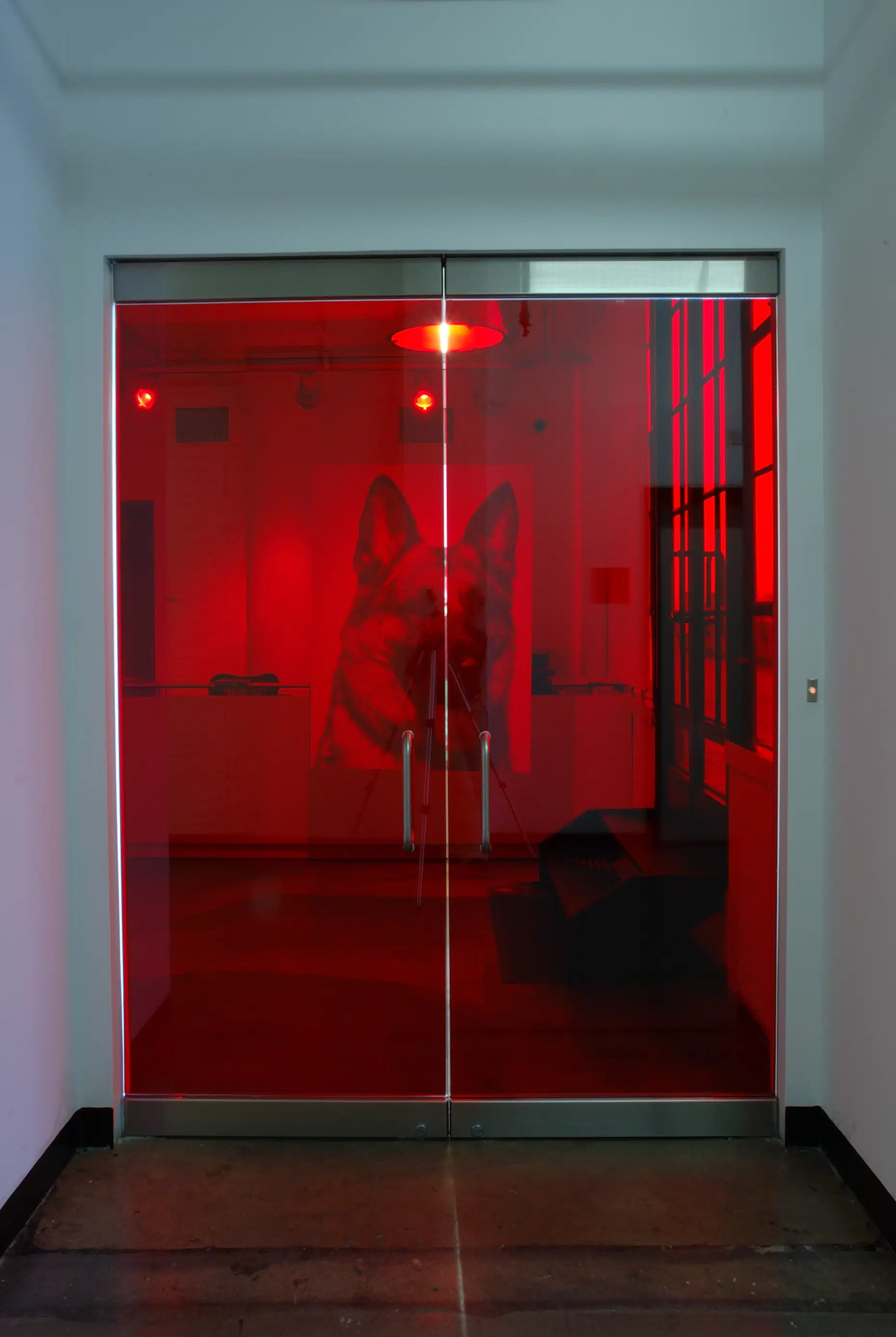 A red set of double doors beyond which there is a painting of a dog.