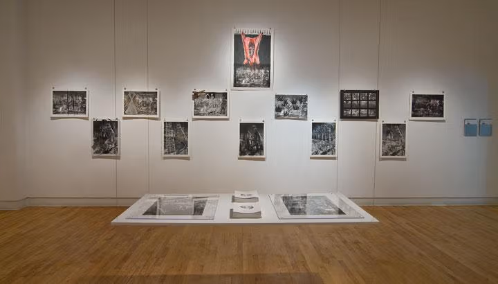 Several paintings hang on a wall.