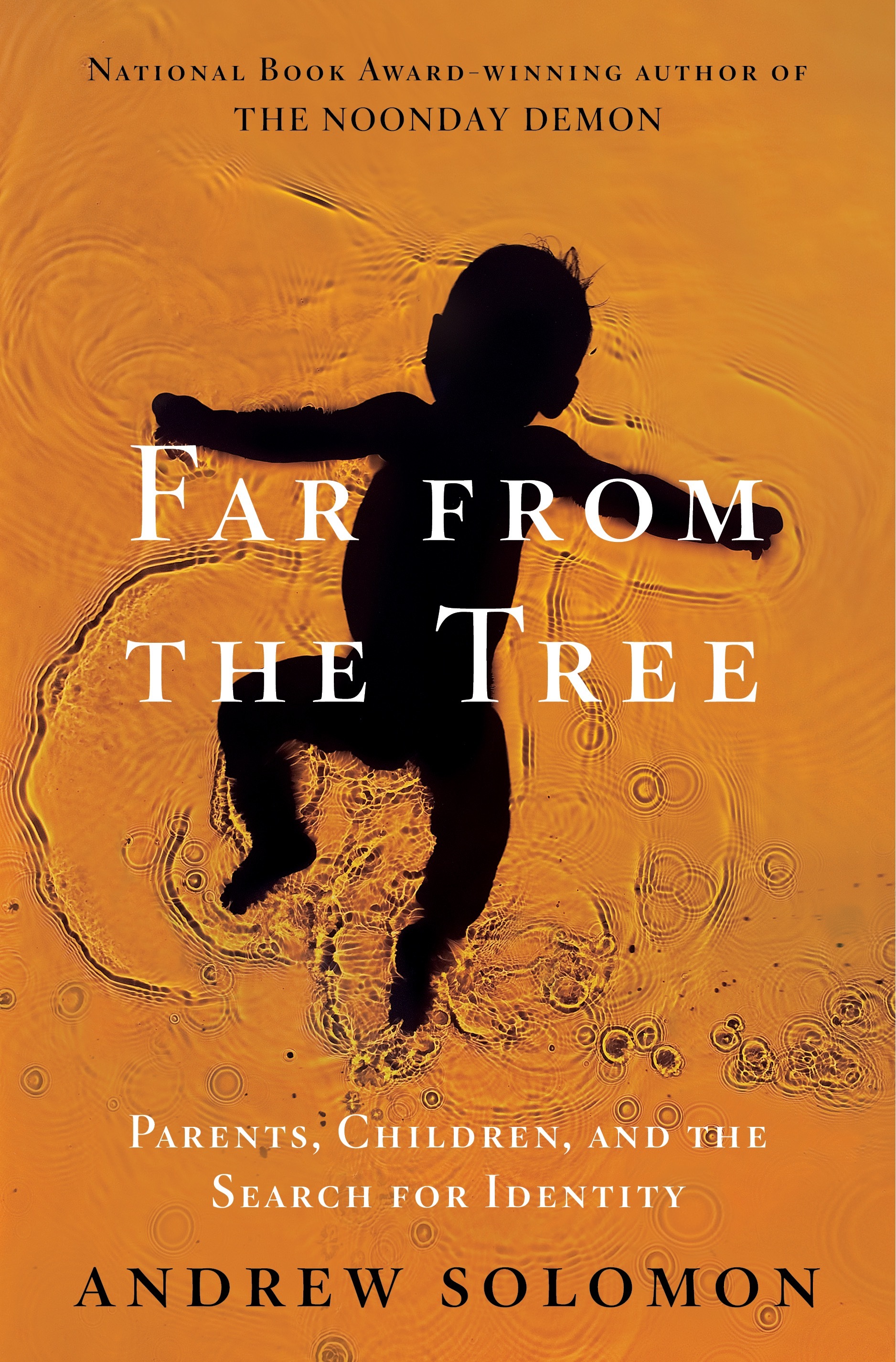 " A book by ANDREW SOLOMOM"