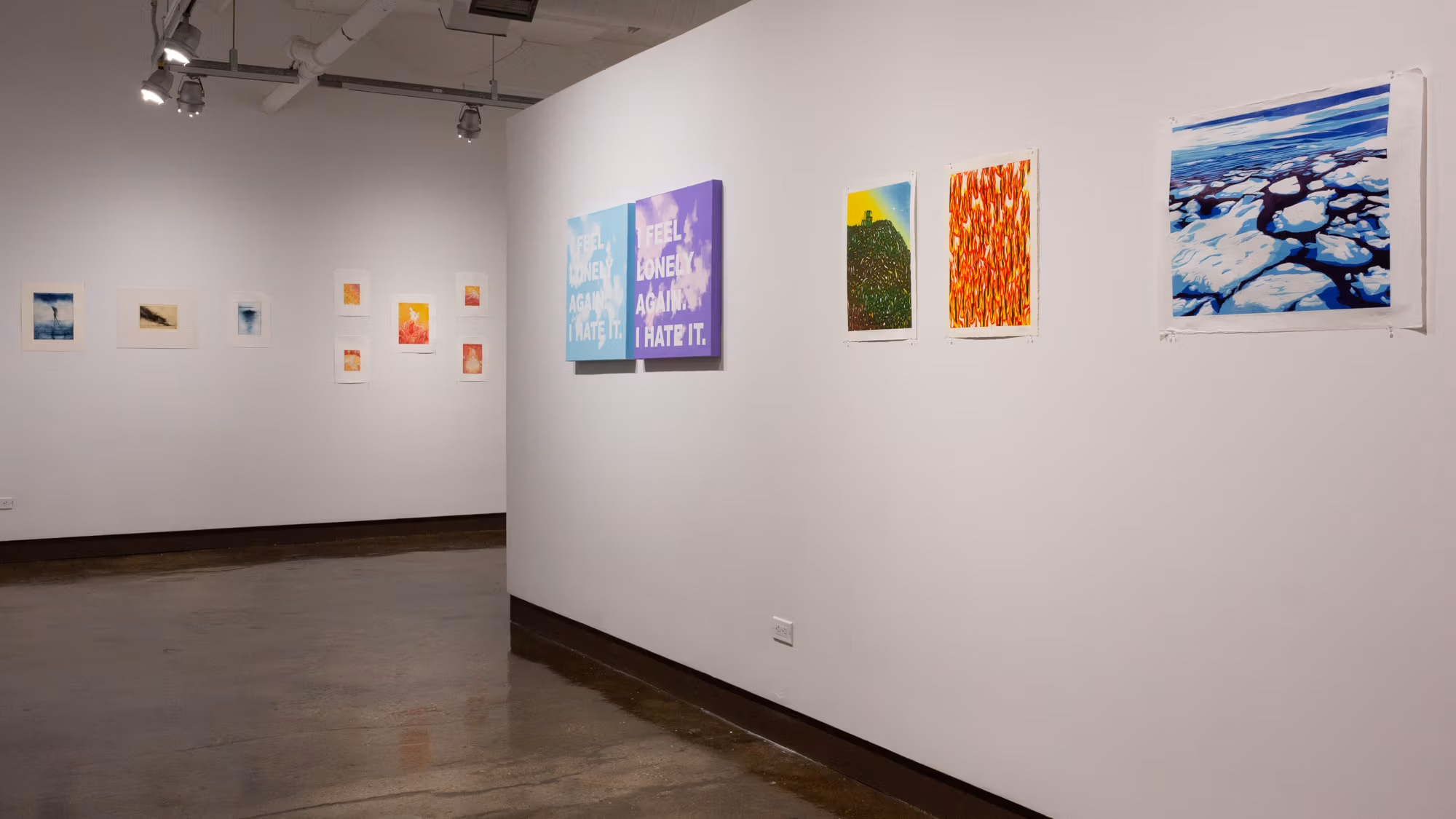 On the wall to the right are multiple print works, the farthest two with clouds and text overlaid on top of them, the three to the far right being environmental woodcut prints. On the nearby wall to the left are multiple small lithograph pieces hung directly on the white surface.