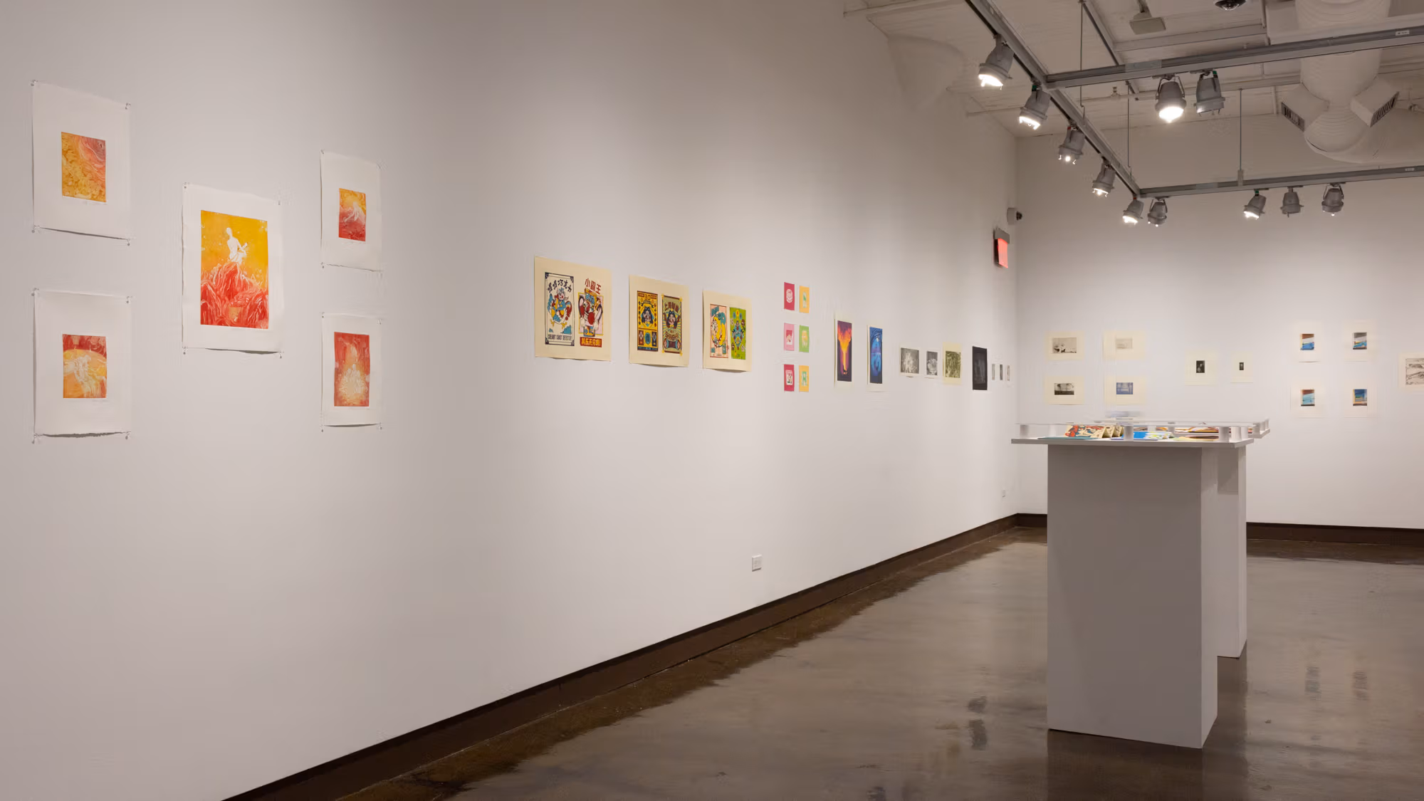 On the left and back right walls are a long line of colorful prints. In the center of the space are two pedestals with a clear plexiglass top covering their respective surfaces and the books contained within.