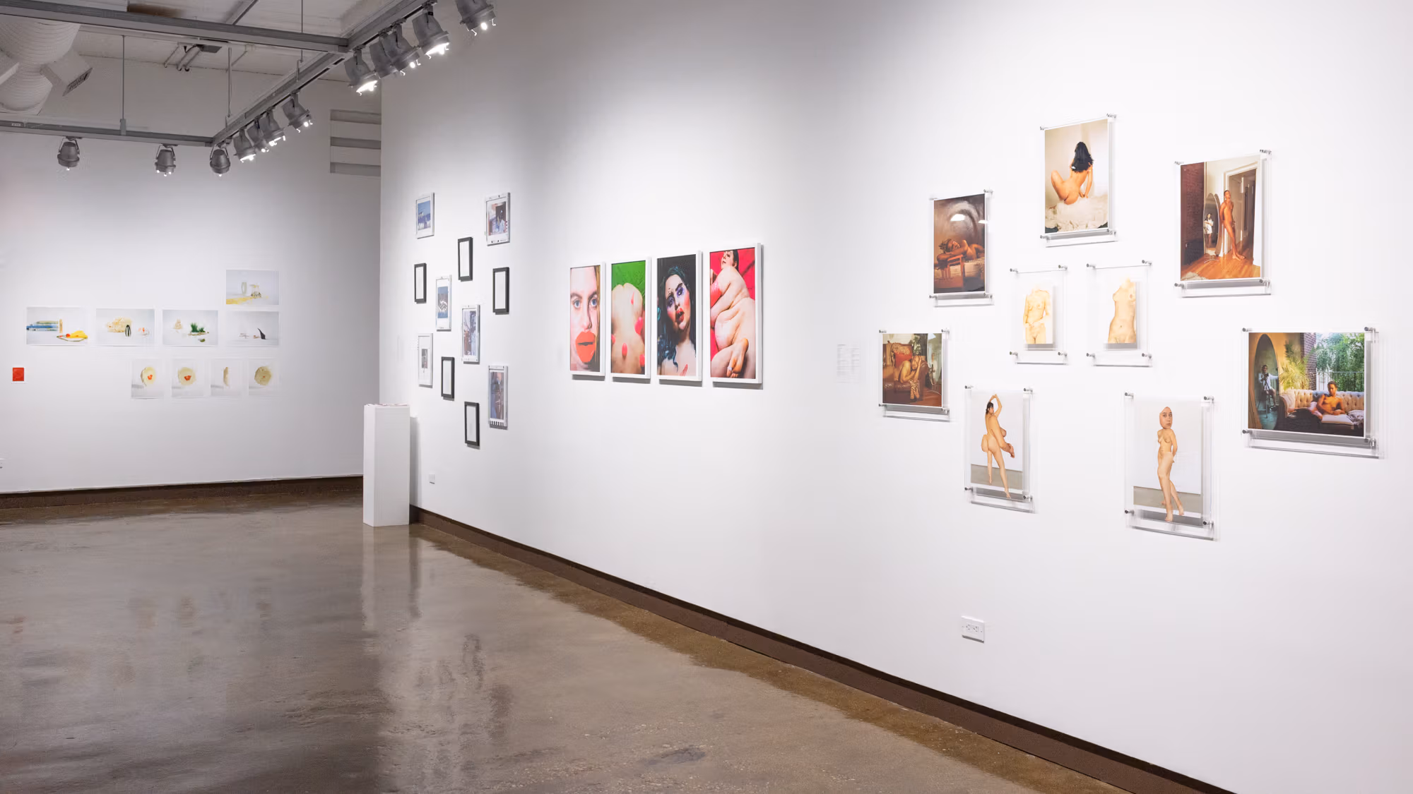 On the left is a series of photographs hung in a partial-grid style, on the right is a long wall containing three artists' groupings of photographs.