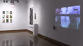 On the left are nine framed photographs in a three-by-three grid, to its right are two unframed black and white photographs held by clips on the wall, and on the far right is a projection of someone in a white hazmat-like suit placing cupped hands into an aquarium containing water.