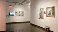 Multiple views of SVA Chelsea Gallery. There are photographs hung on the wall, installations and projections throughout the gallery. 