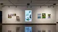 Multiple views of SVA Chelsea Gallery. There are photographs hung on the wall, installations and projections throughout the gallery. 