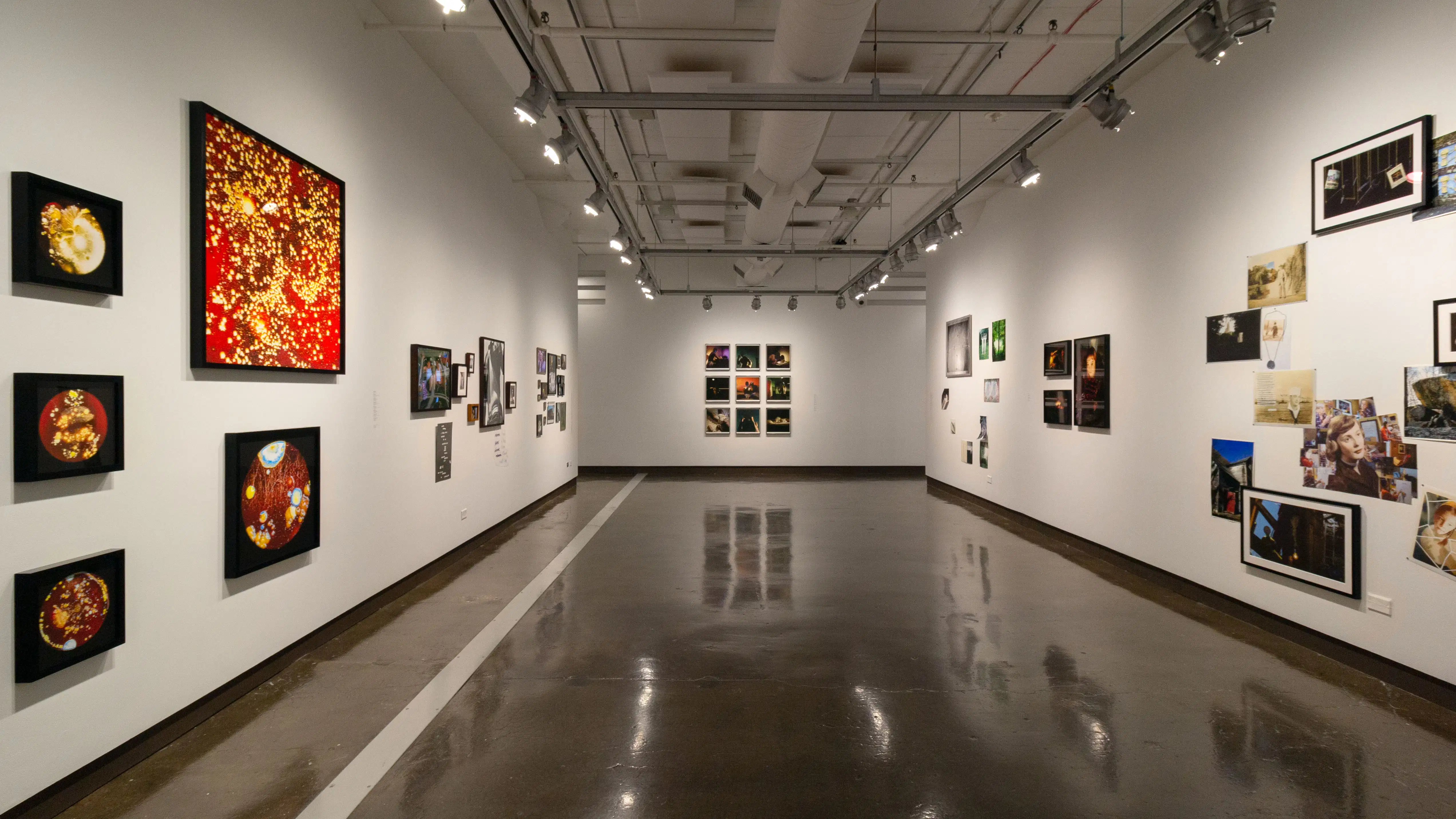 Multiple views of SVA Chelsea Gallery. There are photographs hung on the wall, installations and projections throughout the gallery. 