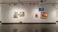 Multiple views of SVA Chelsea Gallery. There are photographs hung on the wall, installations and projections throughout the gallery. 