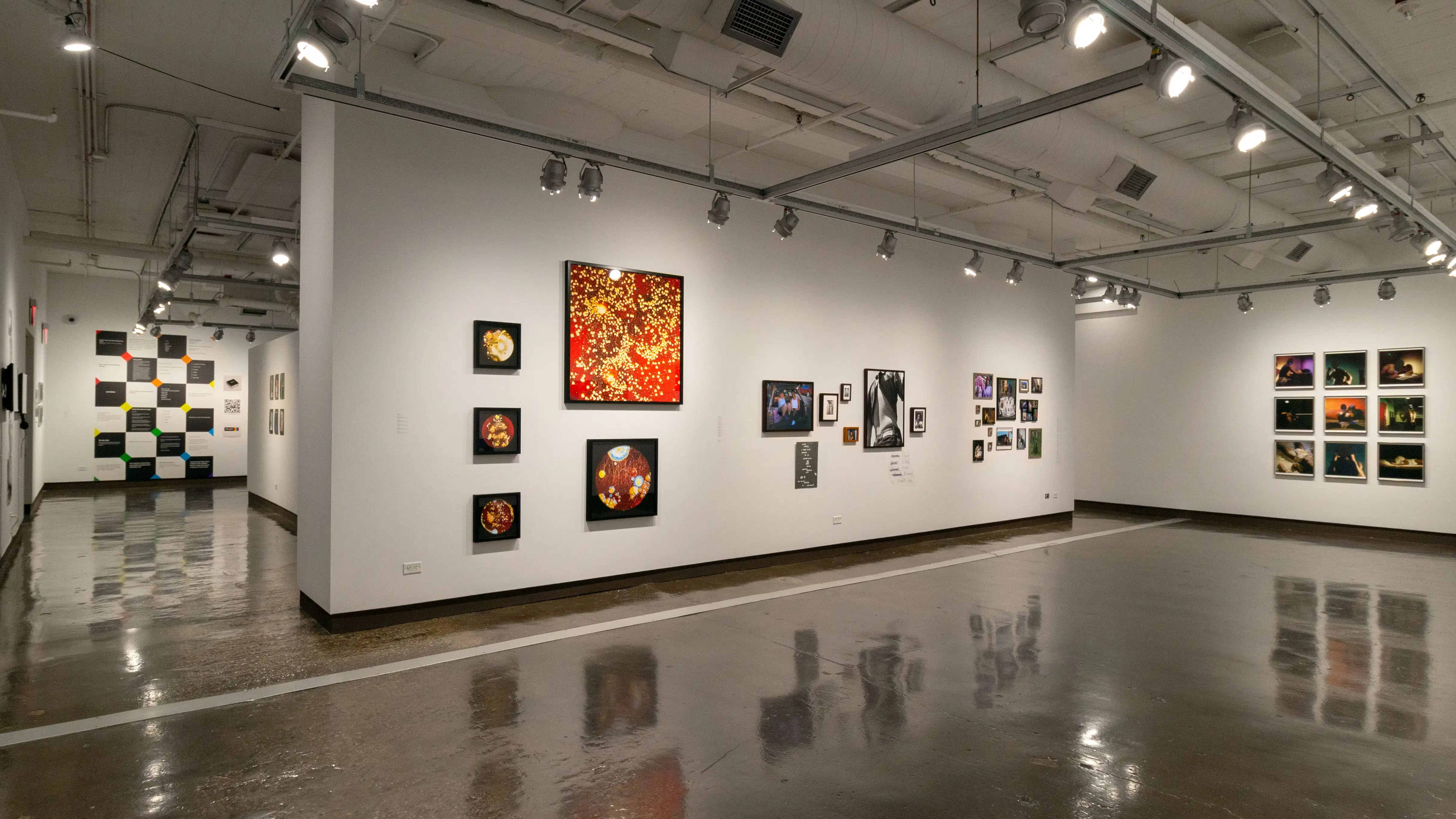 Multiple views of SVA Chelsea Gallery. There are photographs hung on the wall, installations and projections throughout the gallery. 