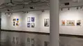 Multiple views of SVA Chelsea Gallery. There are photographs hung on the wall, installations and projections throughout the gallery. 