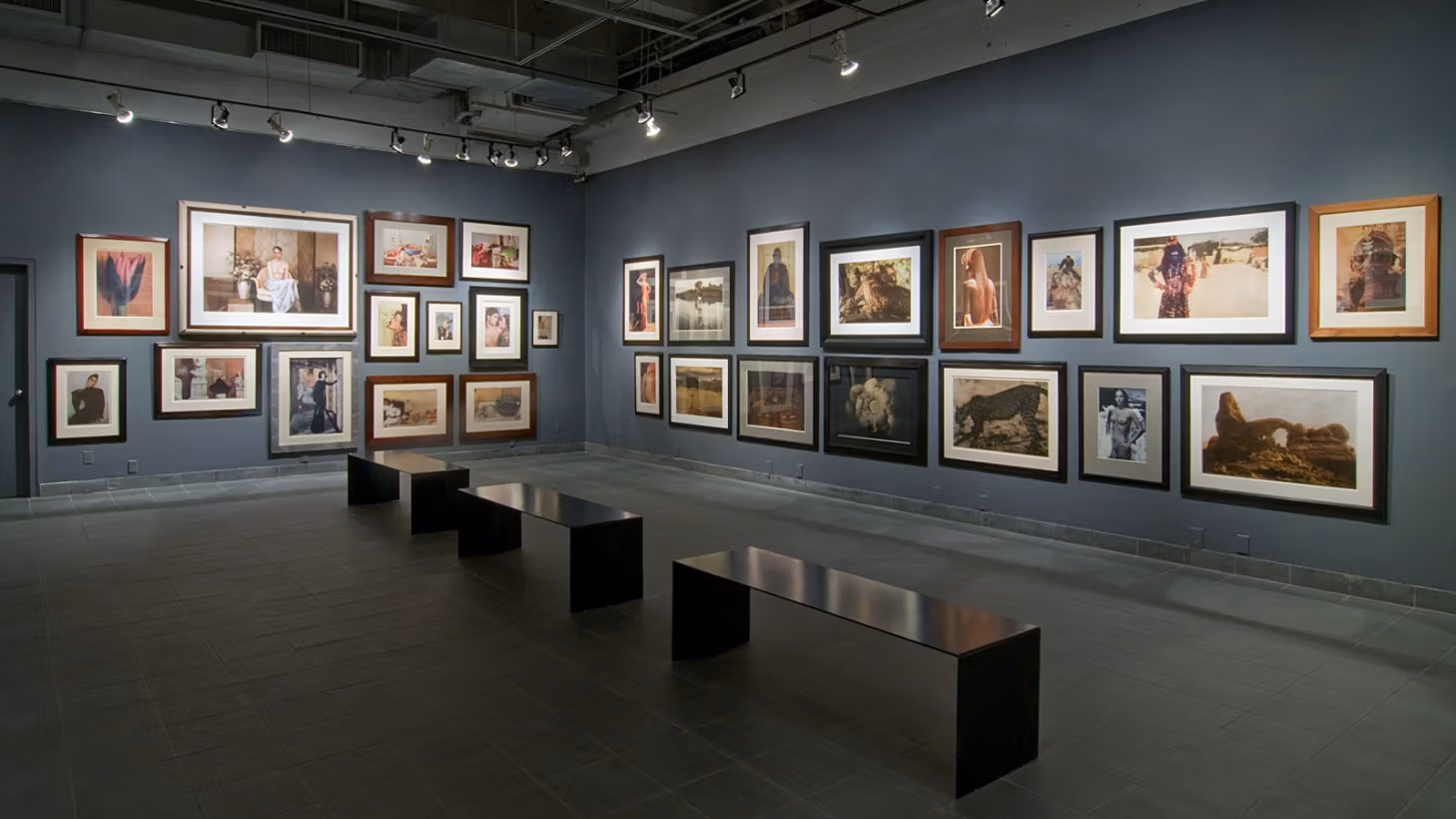 Back gallery space of the Visual Arts Museum, with framed photographs hung in salon style across two walls, with three minimalist black benches in the middle of the space.