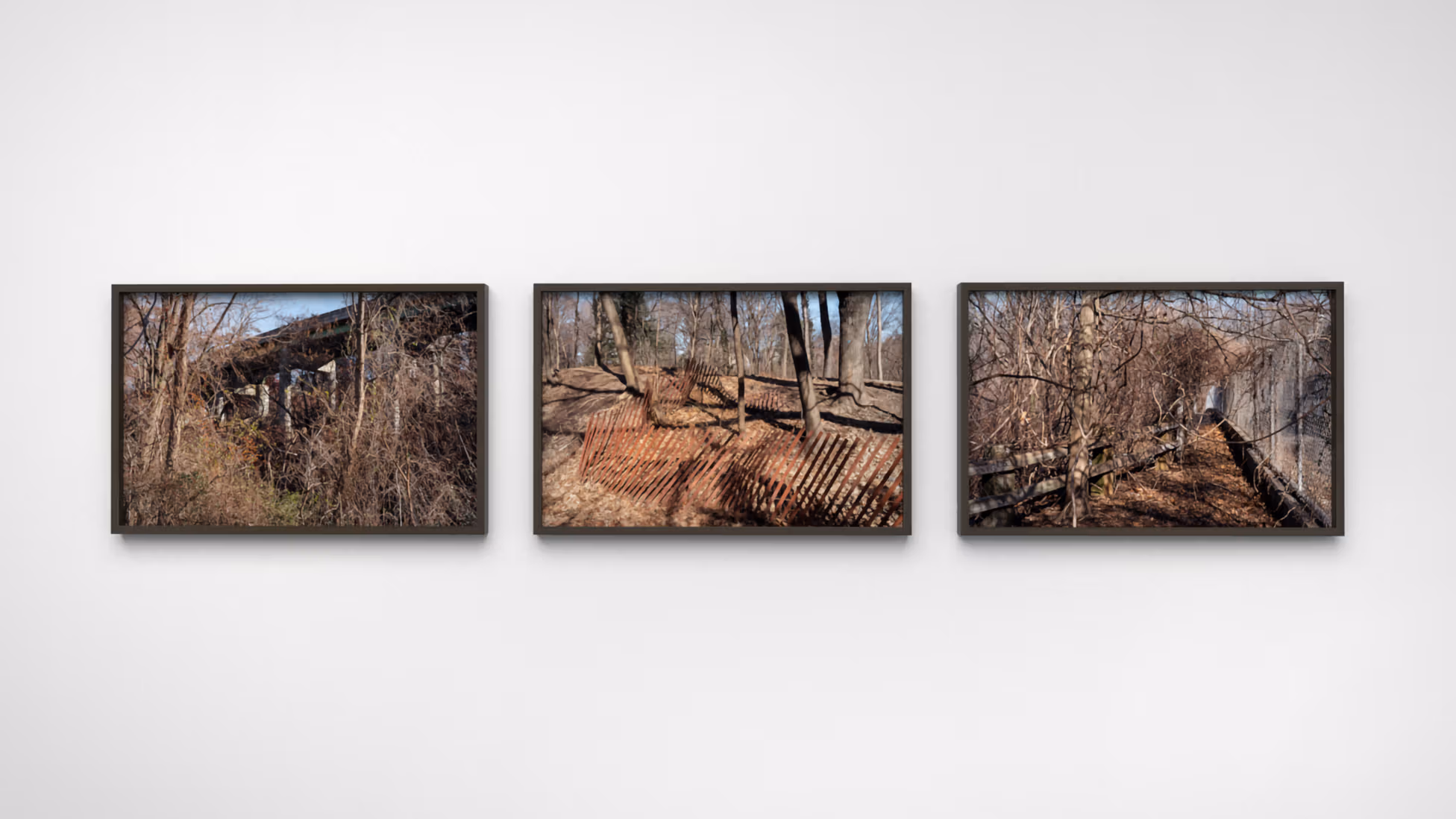 Three color photographs of the outdoors in brown wooden frames.