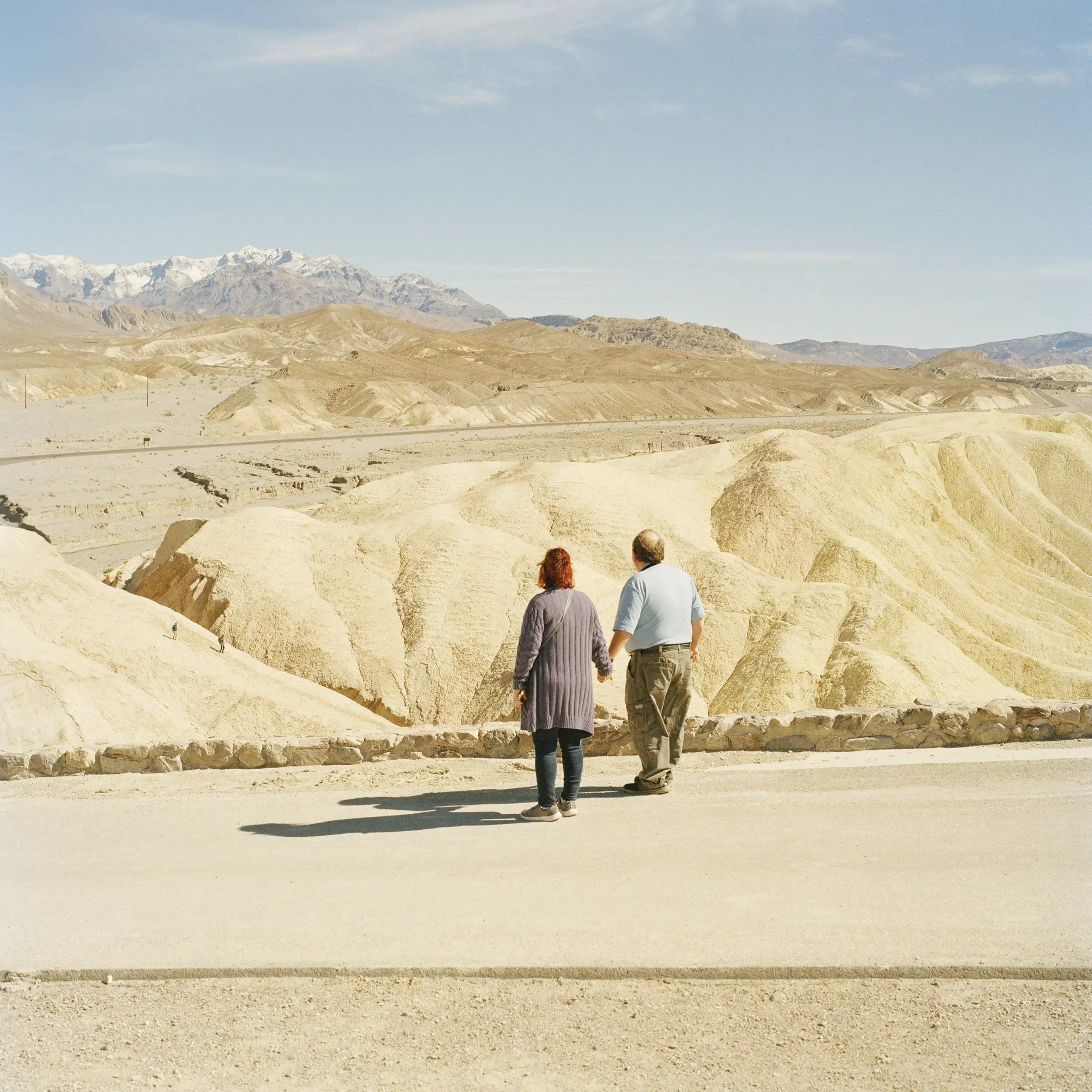 A photo of the back of grandparents on a hill looking at the snowy mountain in distance, and there are two young people walking down the hill further away
