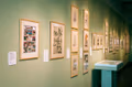 Photograph of illustrations, framed in light wood frames, on long light green wall in gallery space.