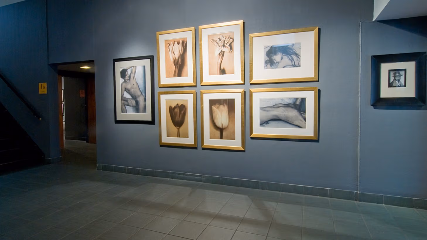 Photograph from inside lobby gallery of Visual Arts Museum, with framed photographs of nudes and flowers by Sheila Metzner.
