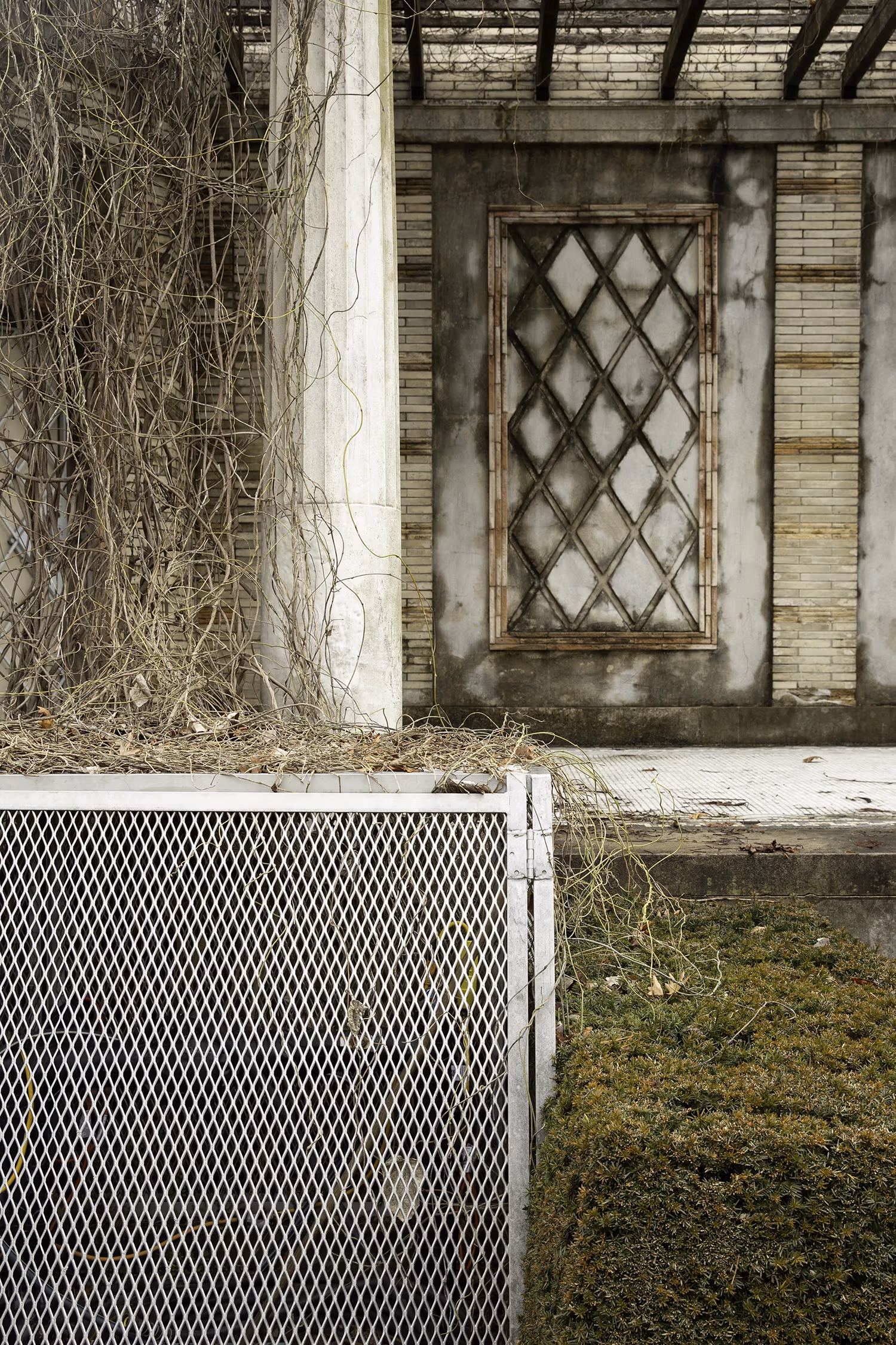 A composite image of dead vines, an abandoned house, a metal grate, and grass 