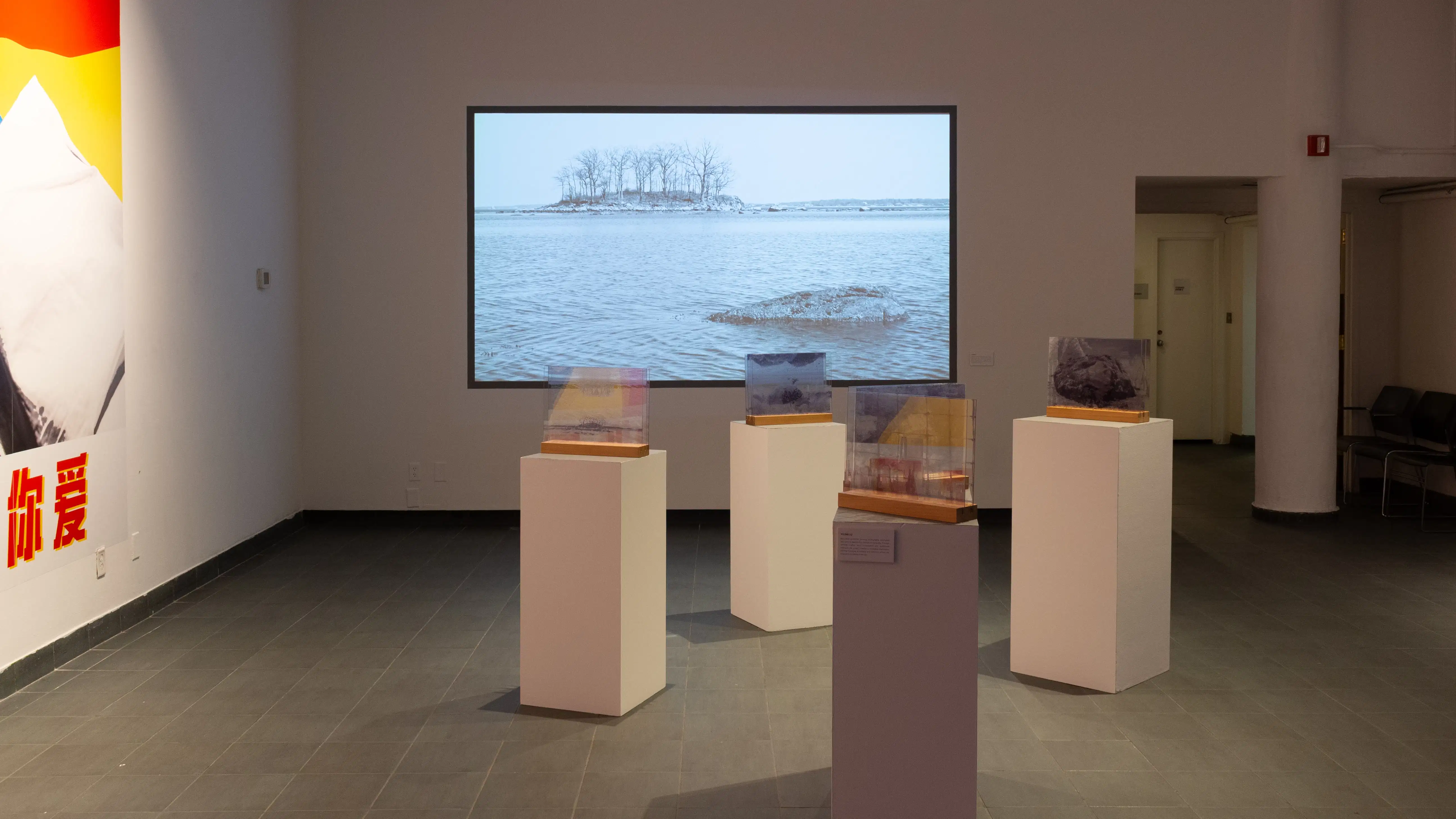 A projected video depicting trees and a body of water plays on a wall straight ahead, with glass pane photographs resting on four pedestals in front of it.