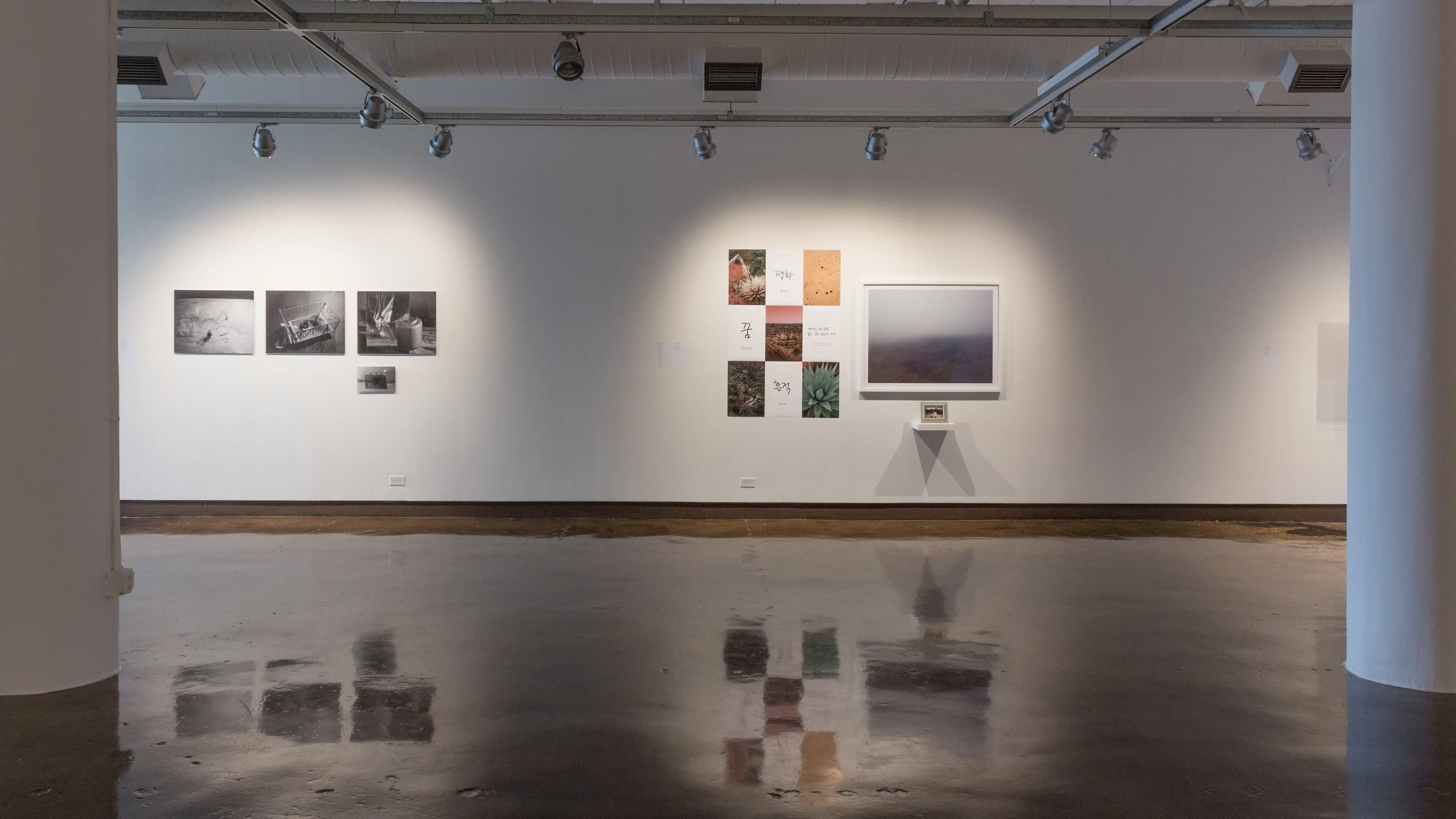 Printed and framed photographs hang on the walls in gallery one. Some are in color, and some are black and white.