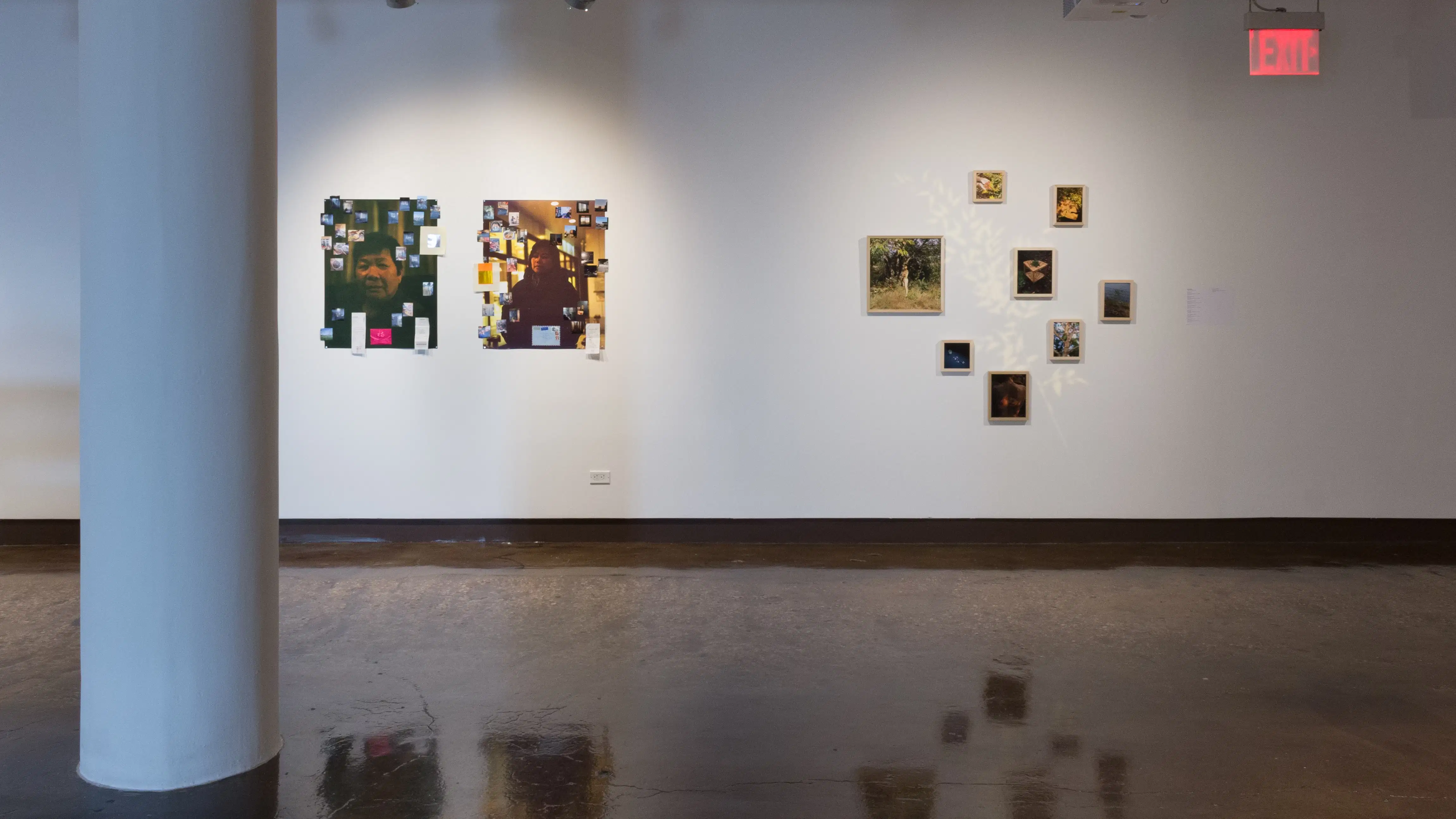 Beside the collaged photographs, framed photographs of various small to medium sizes are hung in a constellation-like arrangement. A projection shows the outline of a plant amongst them.