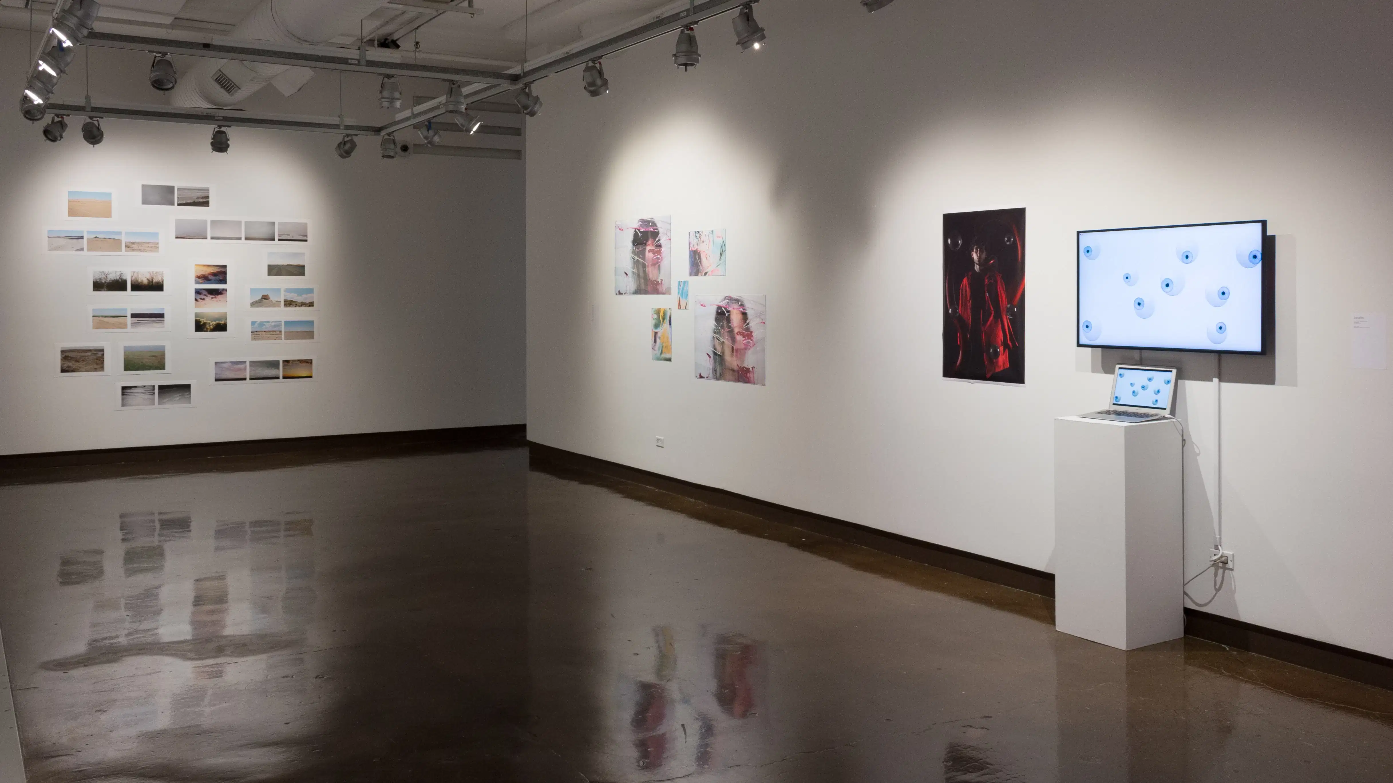 Opposite the monitor and framed prints are more prints of photographs, as well as a monitor and laptop showing animated eyeballs. At the other end of the gallery, many landscape photos hang on the wall.