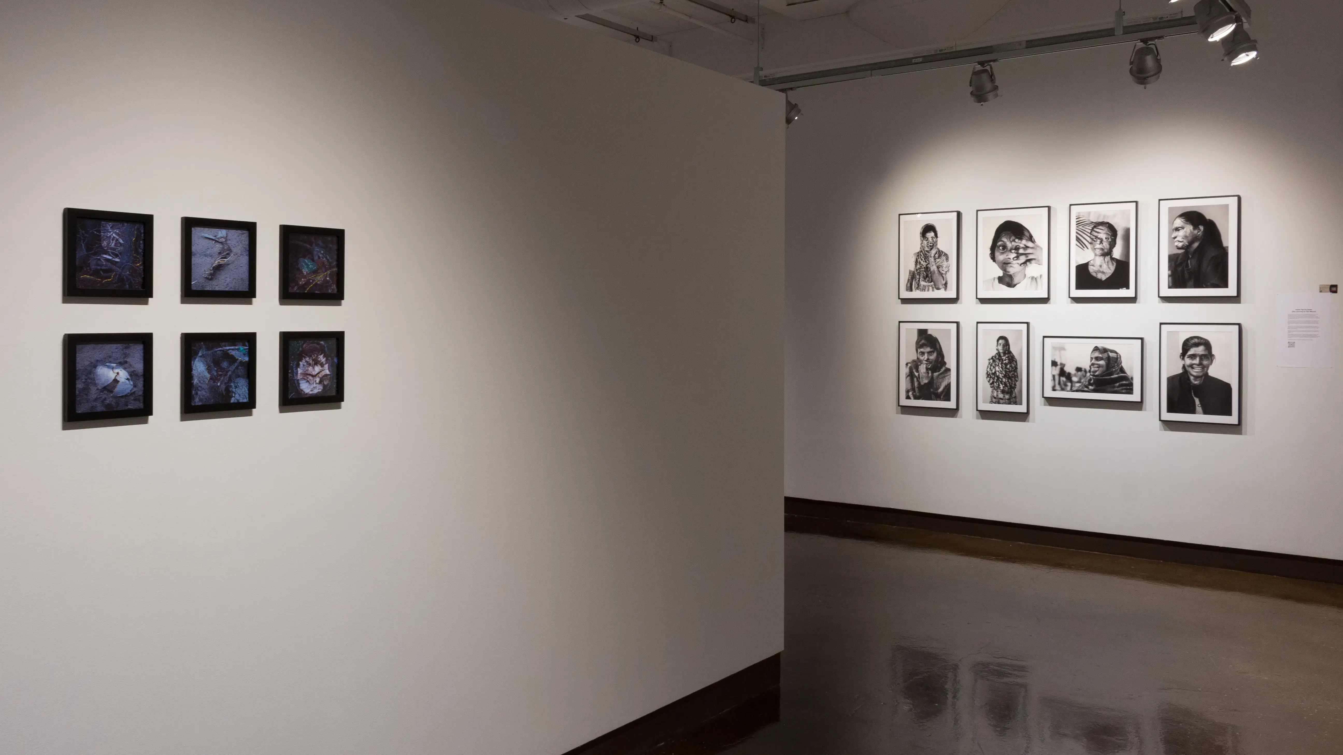 The six small photos in the right hallway lead towards a set of eight framed black and white photographs. These photos are portraits of women.