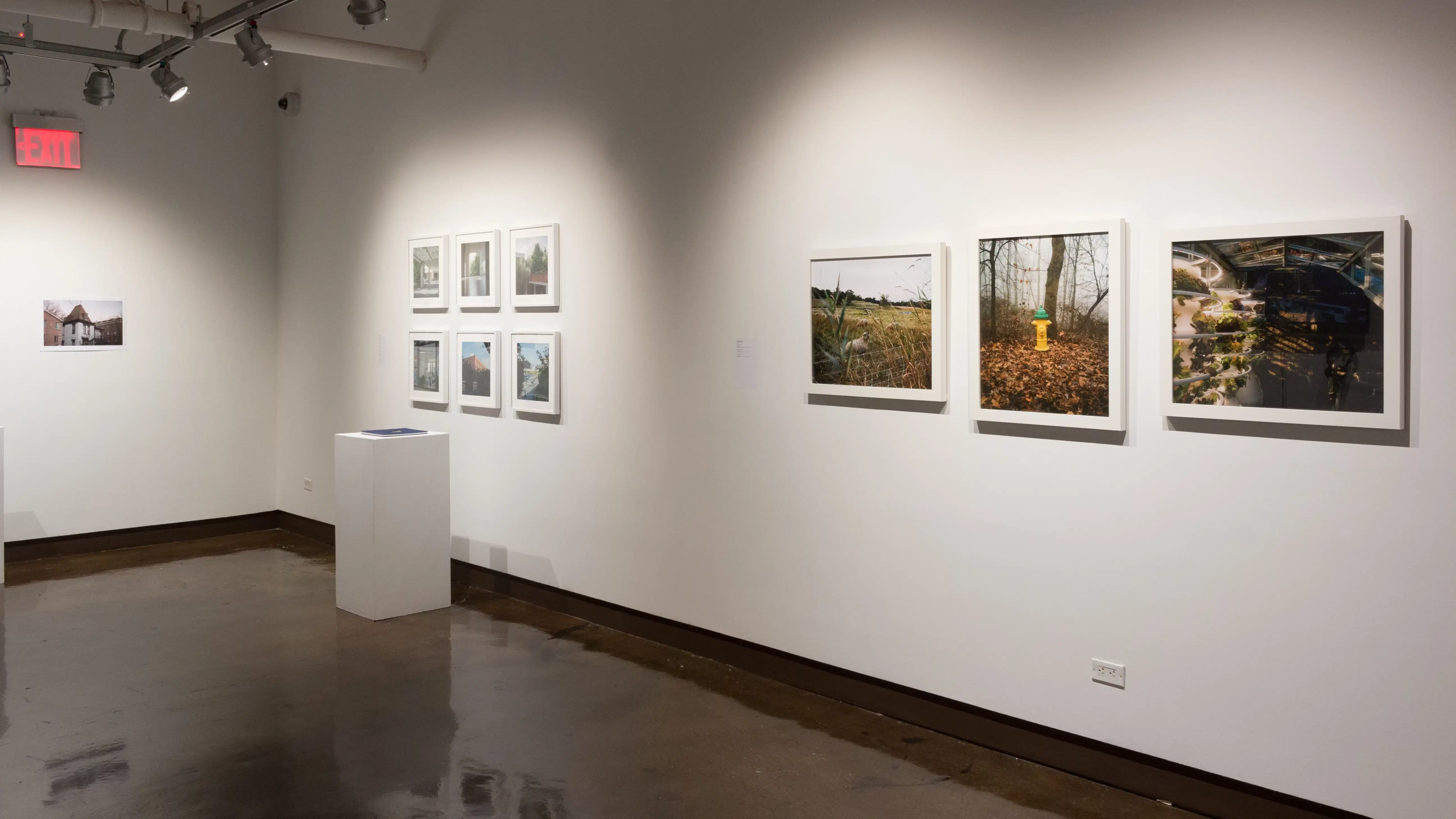 On another wall, there are three framed photographs of nature beside another group of framed photographs, and a pedestal.