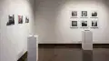 In one corner of gallery four there are two pedestals with rows of color photographs behind them. The photos are of houses and other architecture.