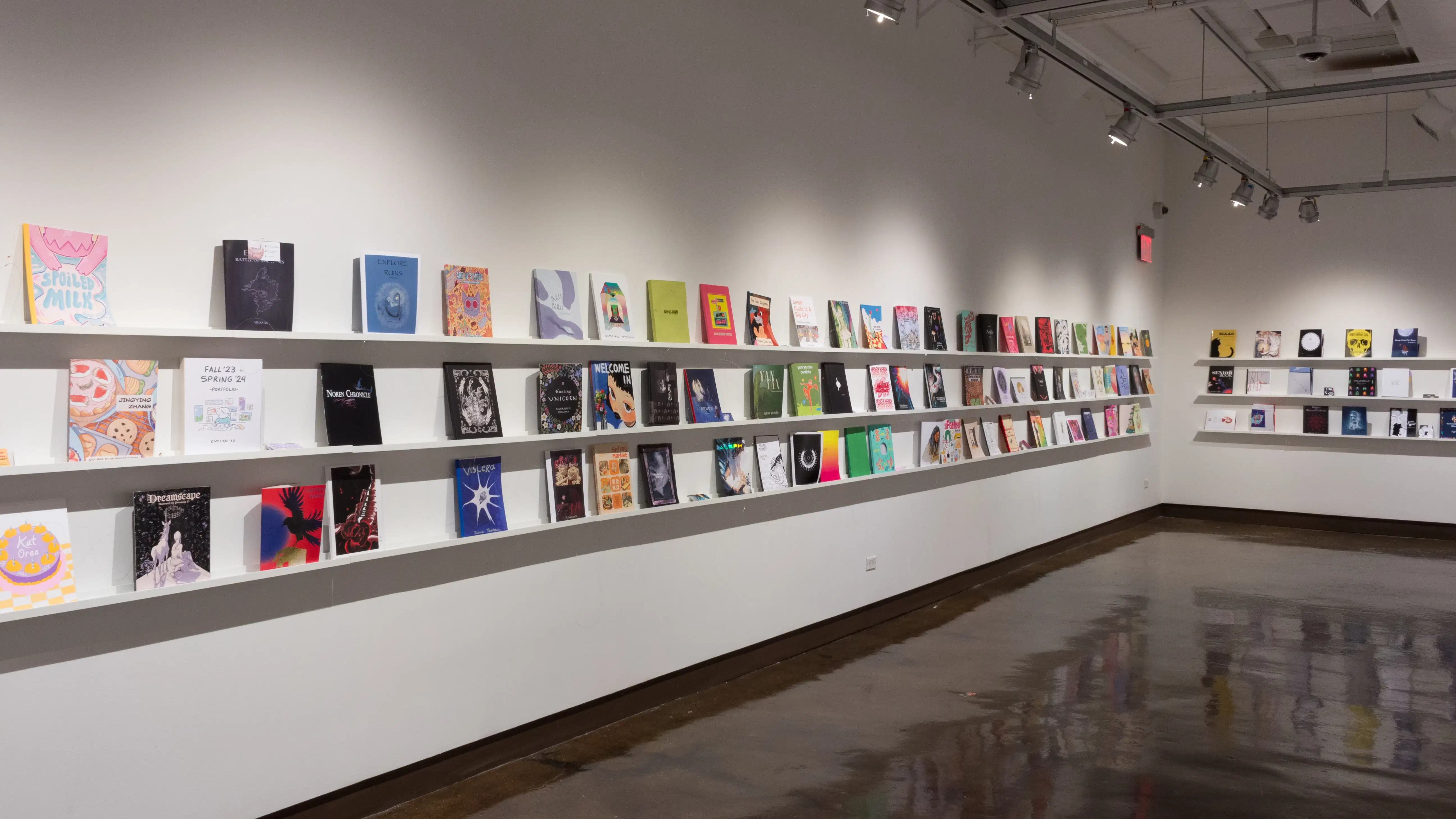 Books are displayed in three rows on long shelves that span the width of gallery four.