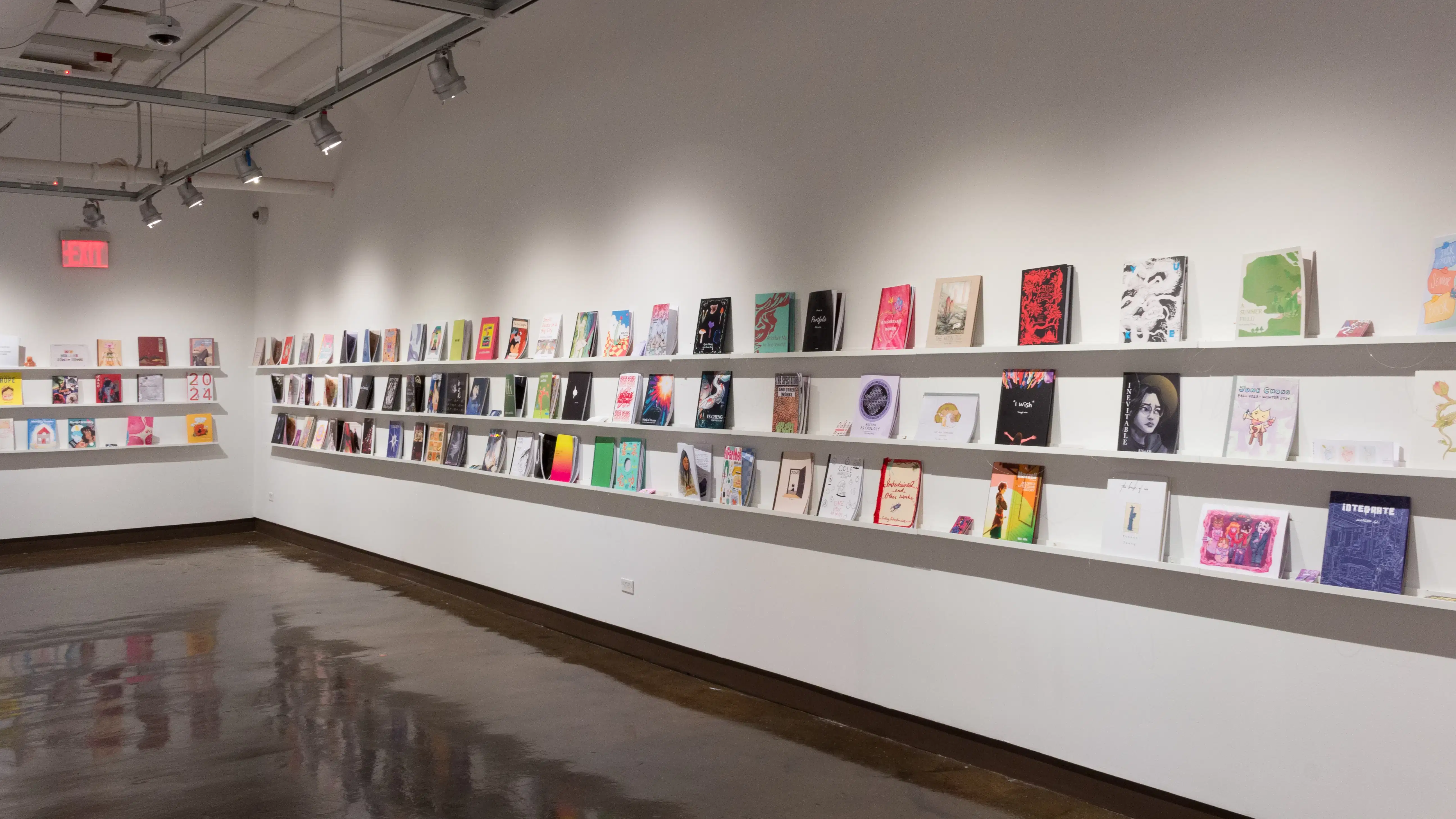 Colorful books are displayed in three rows on long shelves that span the width of gallery four.
