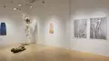 An angled view of the left wall in the SVA Flatiron Gallery, showcasing a large hanging sculpture, installation pieces, and prints. 