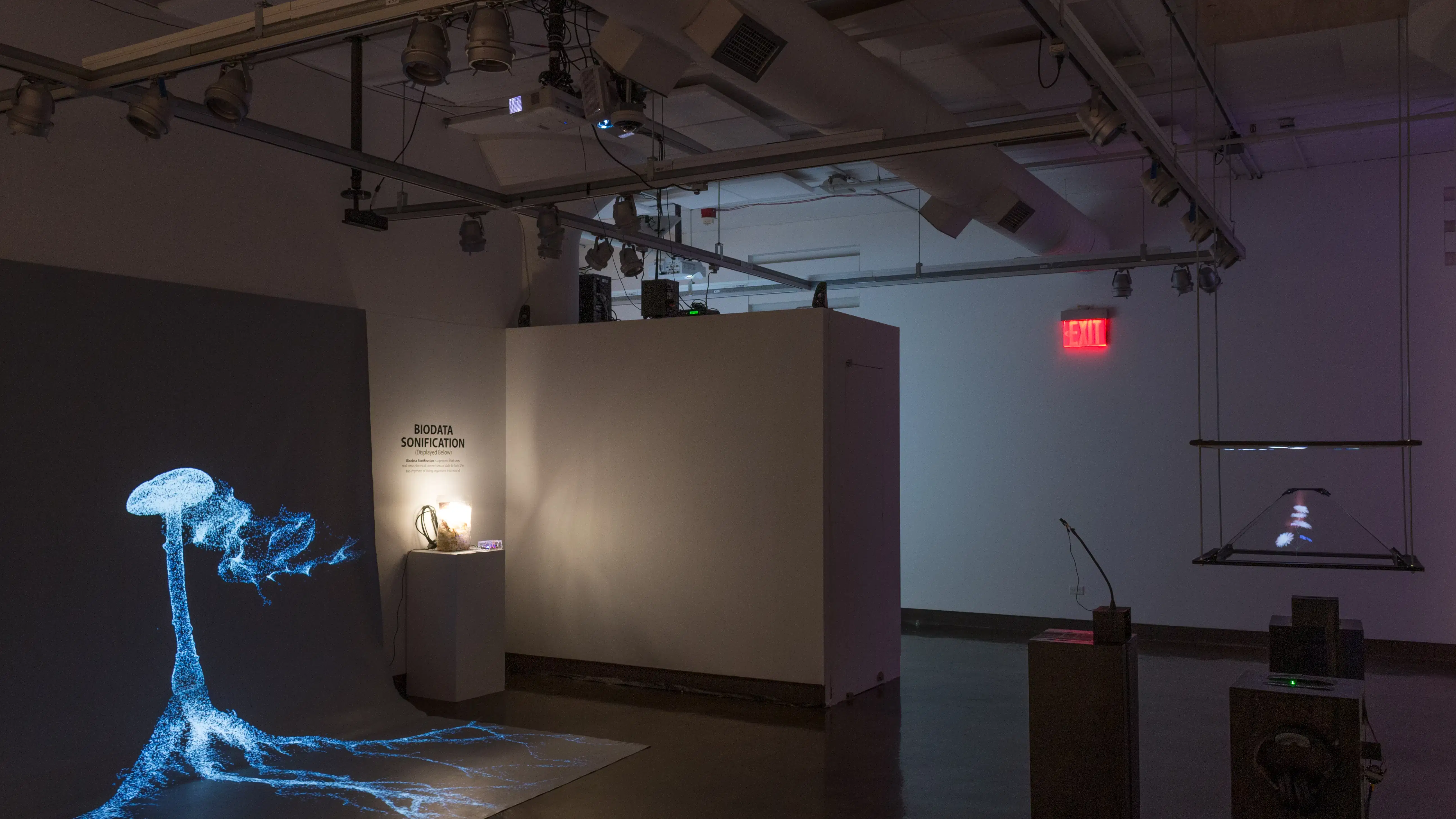 Installation image of a gallery alcove with a large projection of a mushroom to the left, and several pedestals with interactive projections in the foreground to the right.