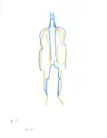 Limbs of body represented by blue and yellow lines