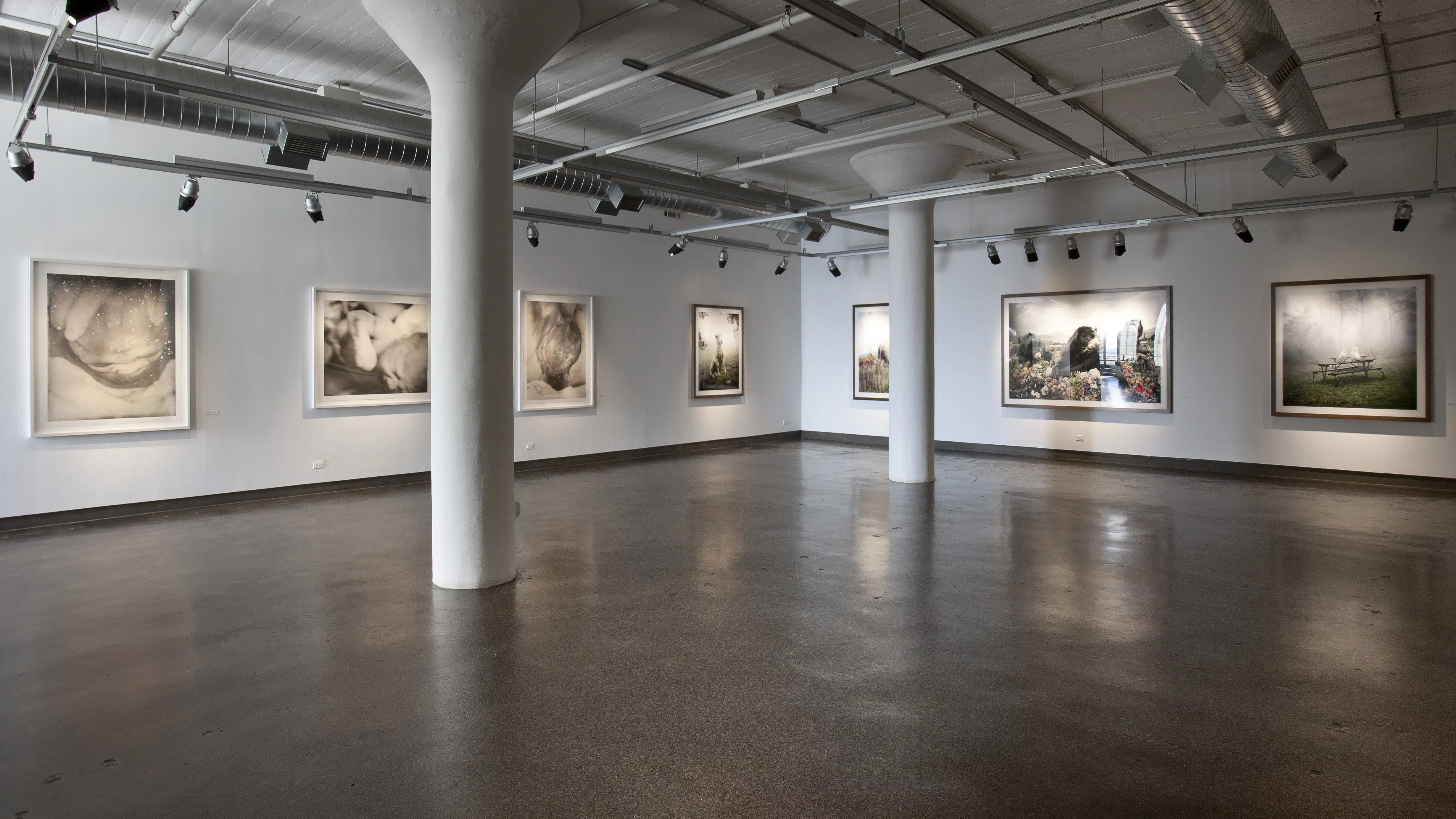 An empty art gallery with tall ceilings and natural light.