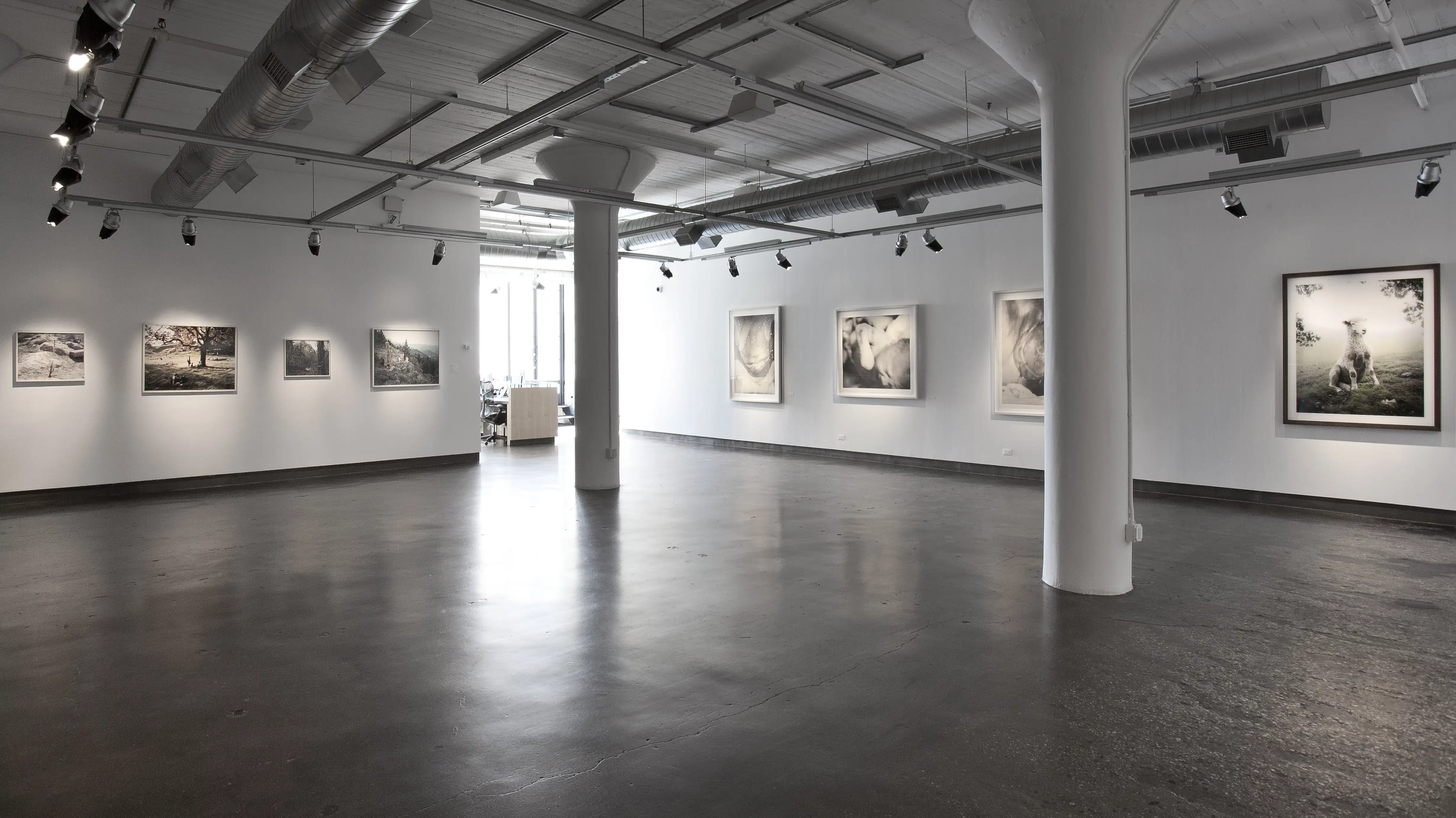 A room with white walls and two white pillars in the middle of the room. Eight paintings and photographs are illuminated on the walls
