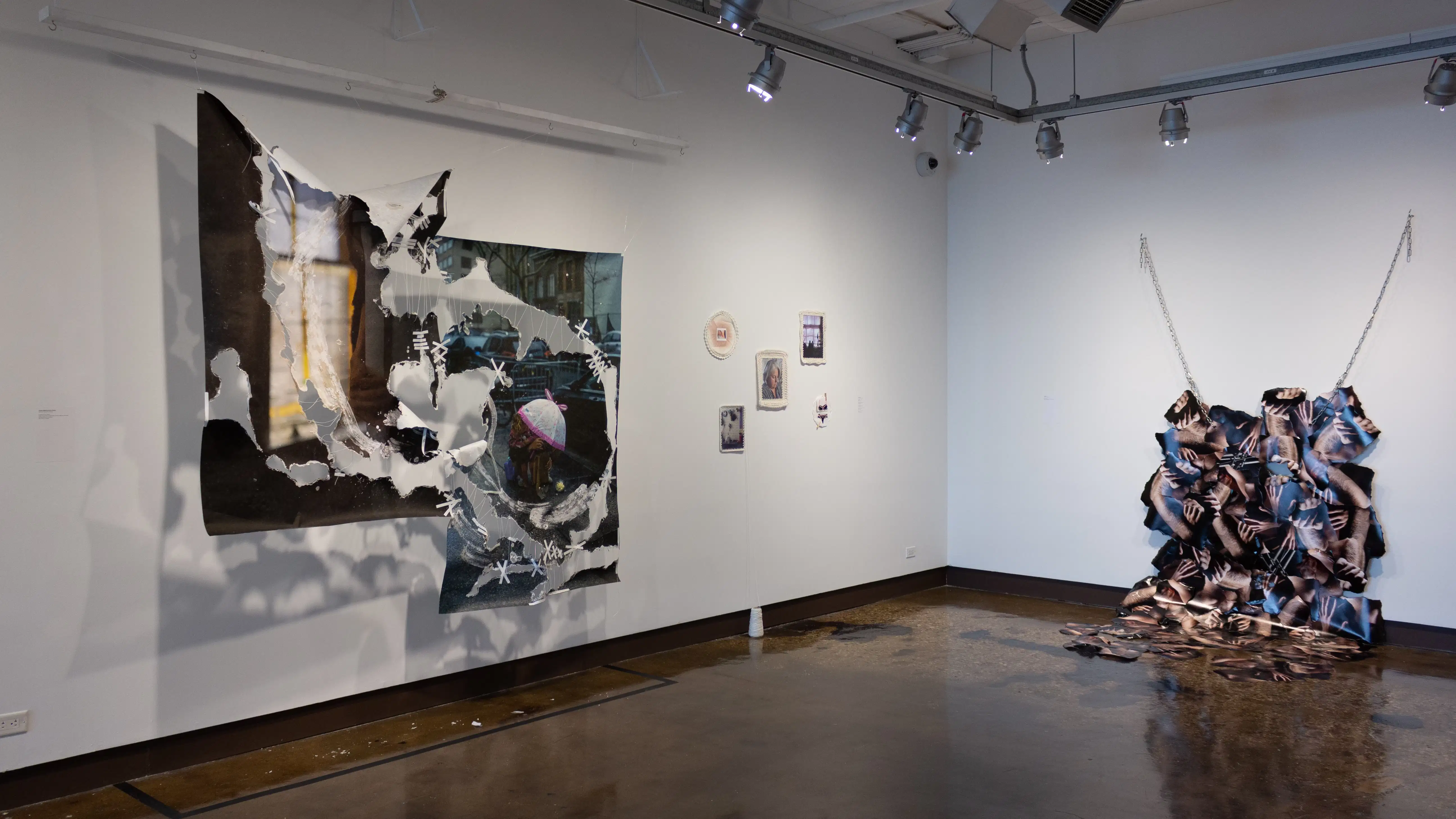 Installation image featuring  two hanging photo installations and 5 framed photos.