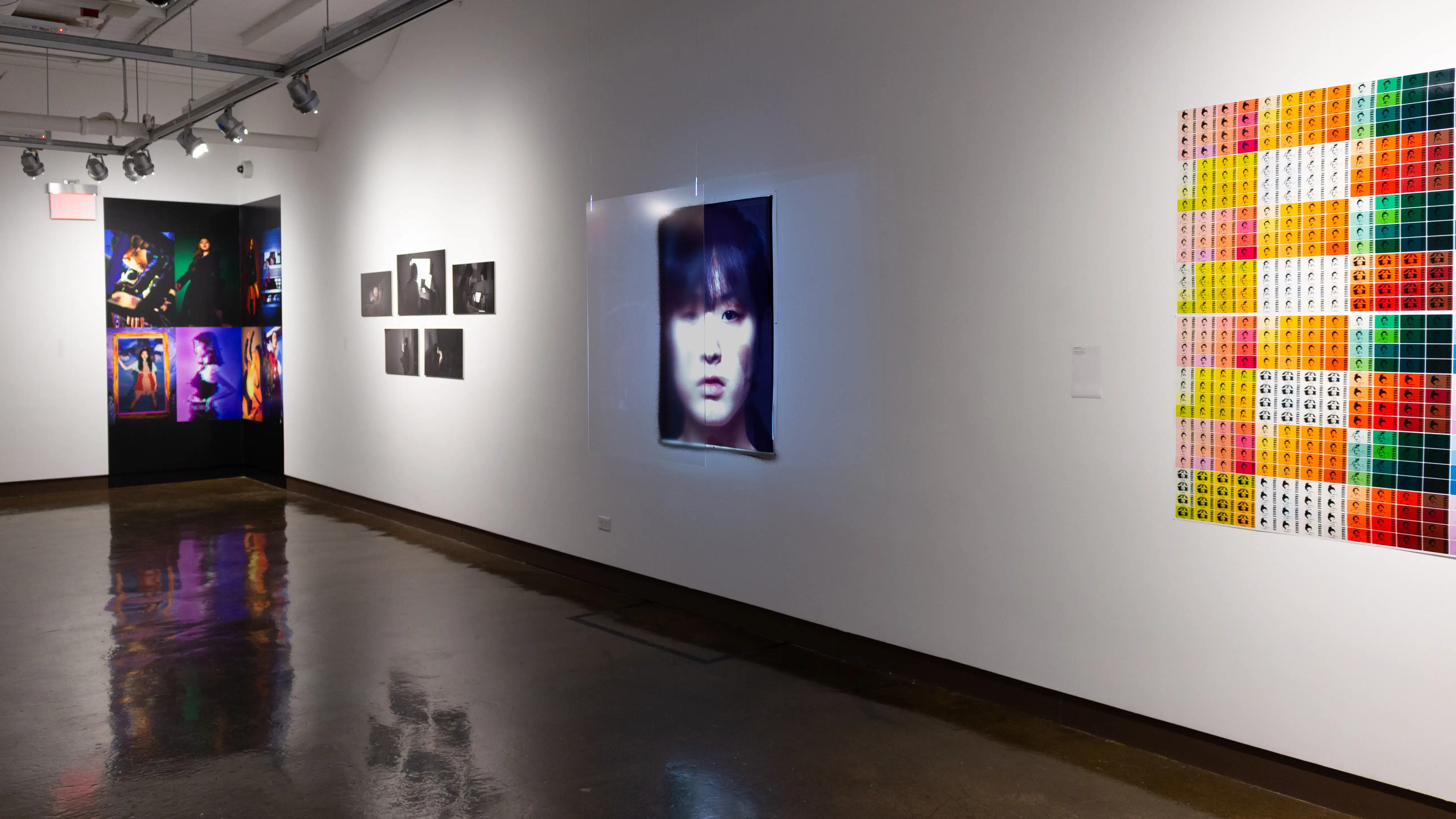 Installation image showing a color grid on the left, a large portrait with hanging glass in front in the middle, 5 black and white photos, and a large color installation spanning two walls in the back corner.