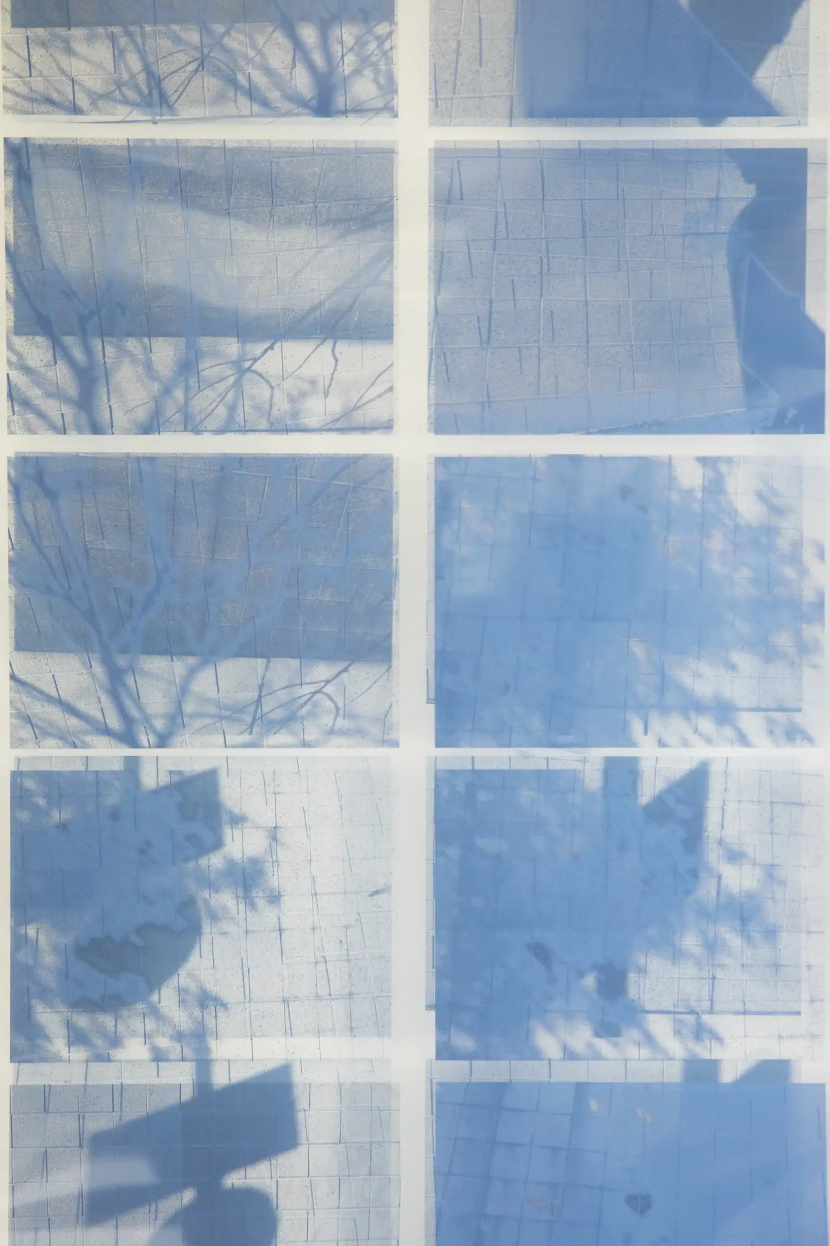 blue and white grid of images from inside a window peering out into trees and street signs