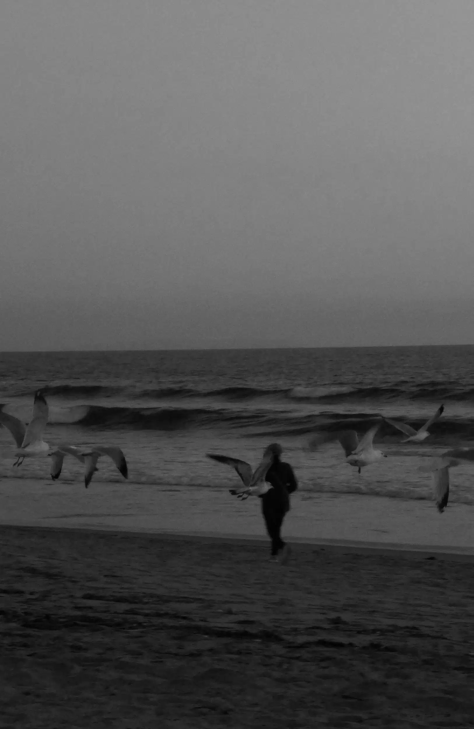 The image shows a scene at the beach with a person in the foreground and several seagulls in flight around her. The ocean's waves are visible in the background, and the beach stretches out before the camera, leading to the water's edge. The mood is dynamic yet serene, with the motion of the birds captured against the stillness of the sea. It's taken either at dusk, given the low light and long shadows, adding to the tranquility and simplicity of the moment.