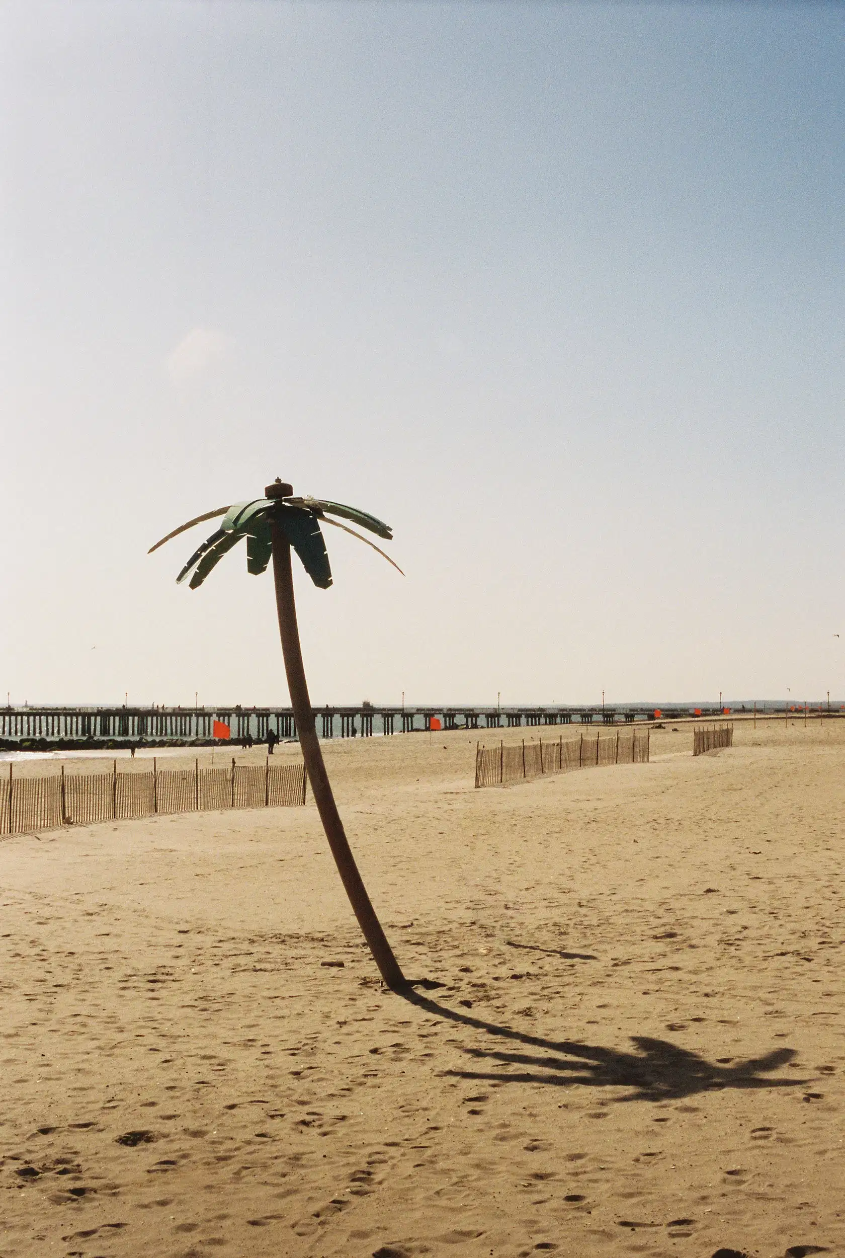 An artificial made palm tree on the beaches of Coney Island.