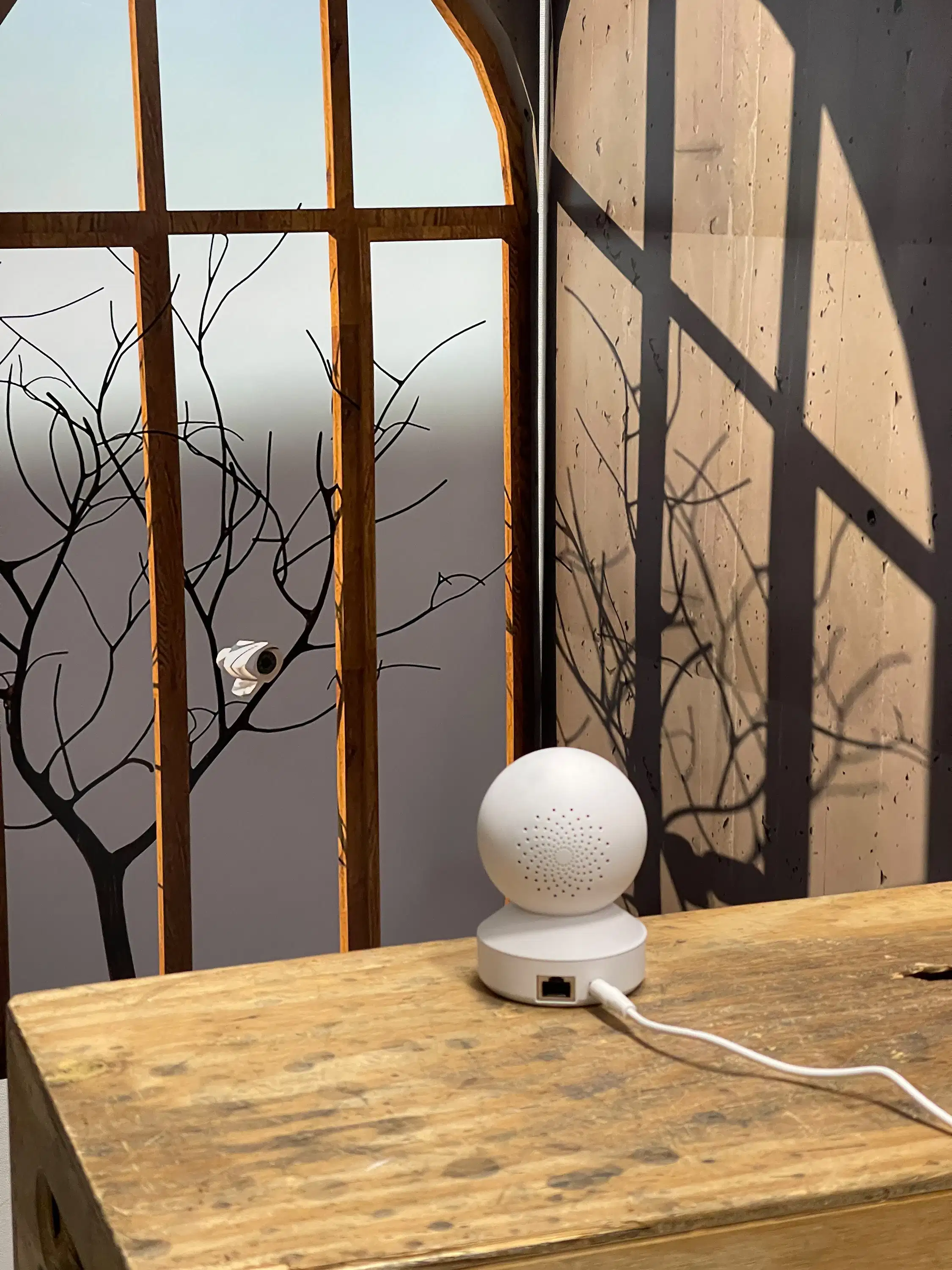 An installation work with premium luster prints and with a security camera