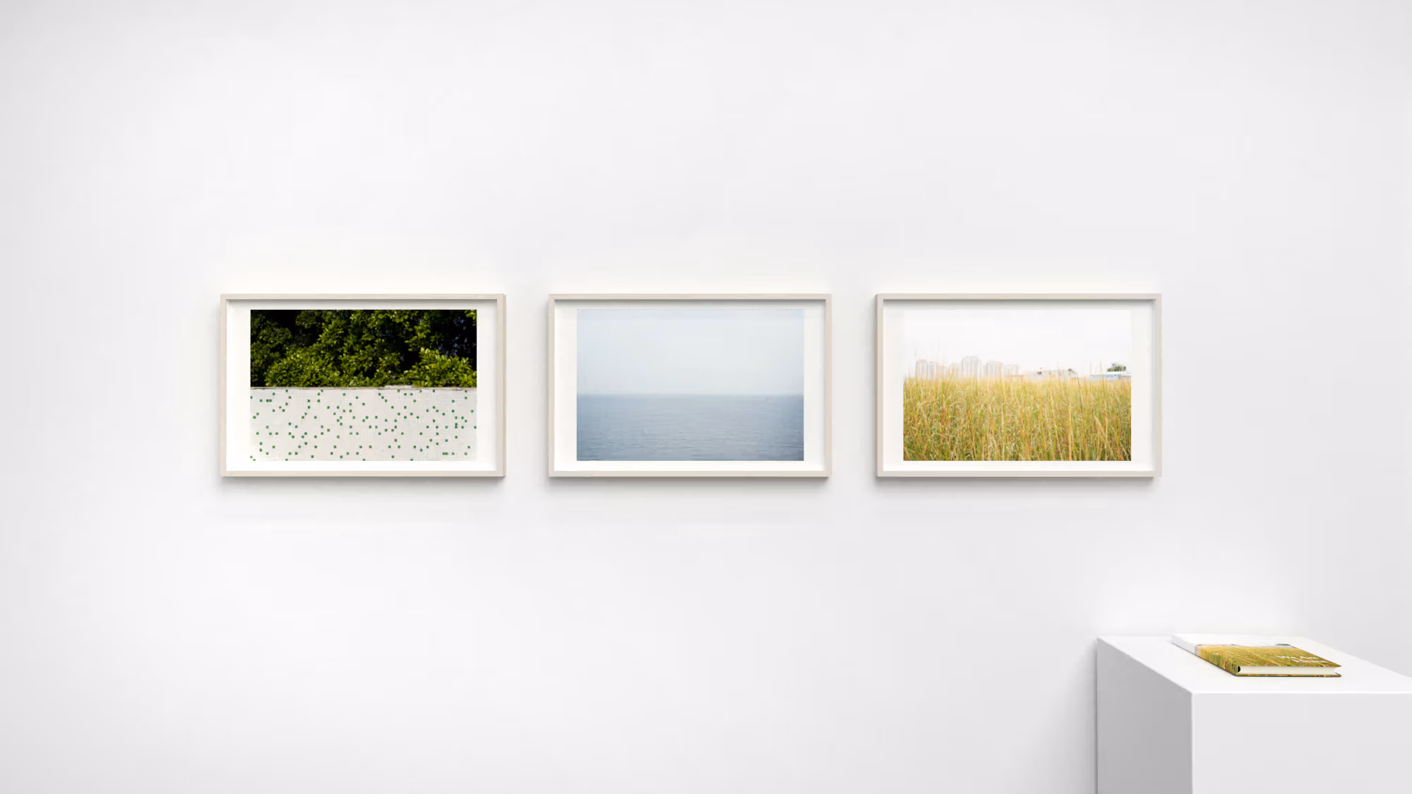 Row of three color photographs in light wood frames, and to the far right is a small book on a white pedestal