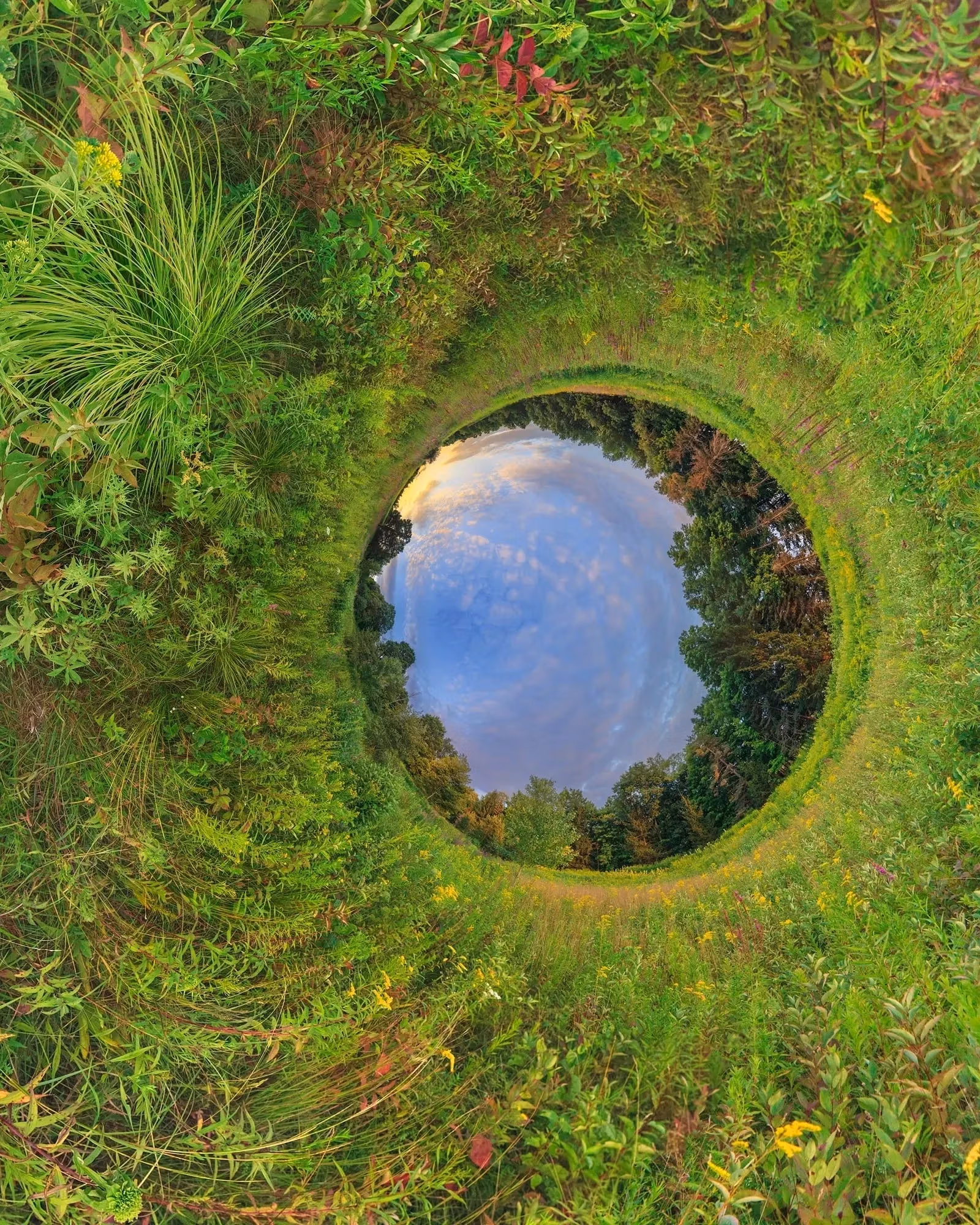 a 360 degree panoramic photo of a meadow in upstate New York taken near sunset. The perspective of the scene has been transformed so that the horizon appears as a circle to the right and very slightly below the center of the image.