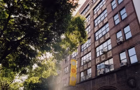 Building facade framed by a tree top. An SVA flag hangs above its entrance
