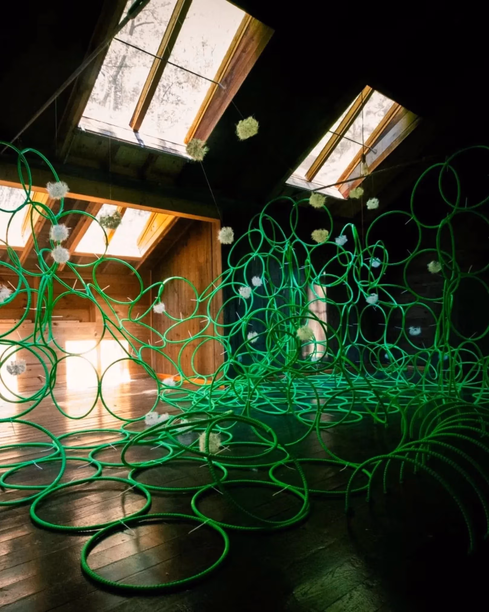 photograph of green hula-hoops in a sculptural assemblage in a dark barn with sunlight coming in through windows