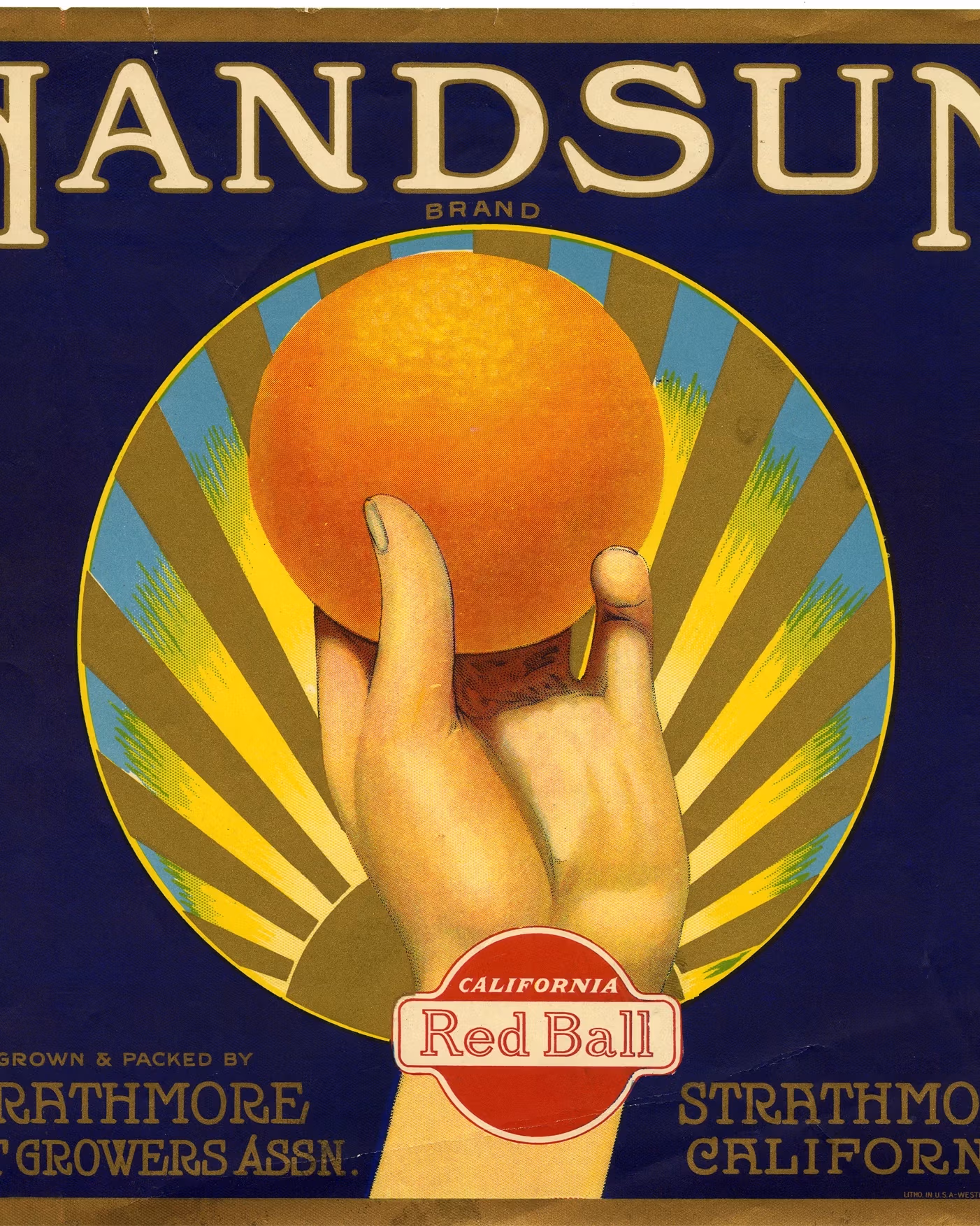 Illustrated label for an orange company. A hand holds an orange at the center of the page with a radiant circle halo around it. The rest of the background is dark blue with bronze letters that read "Handsum"