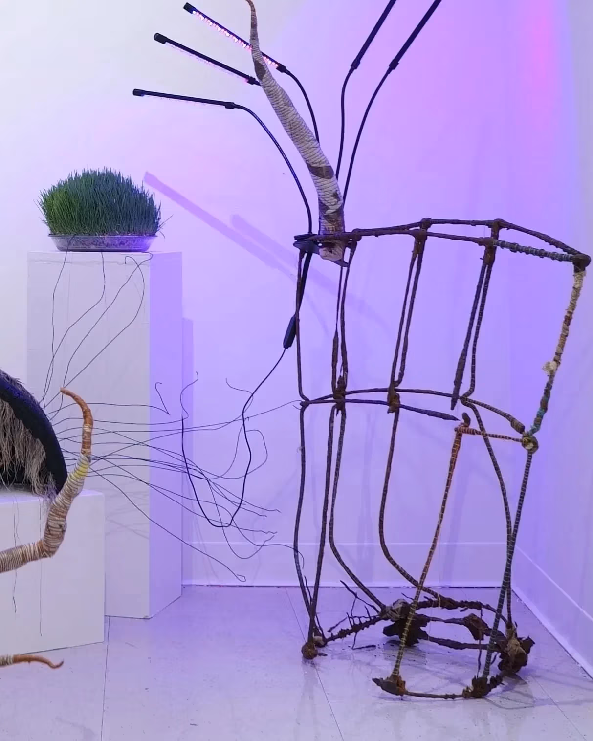 An artist's studio filled with sculpture made from natural materials. The white walls are cast with a violet light.