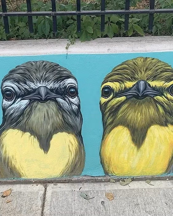 two small yellow birds drawn on a aqua-colored mural, green grass in the top of the image and concrete sidewalk below.