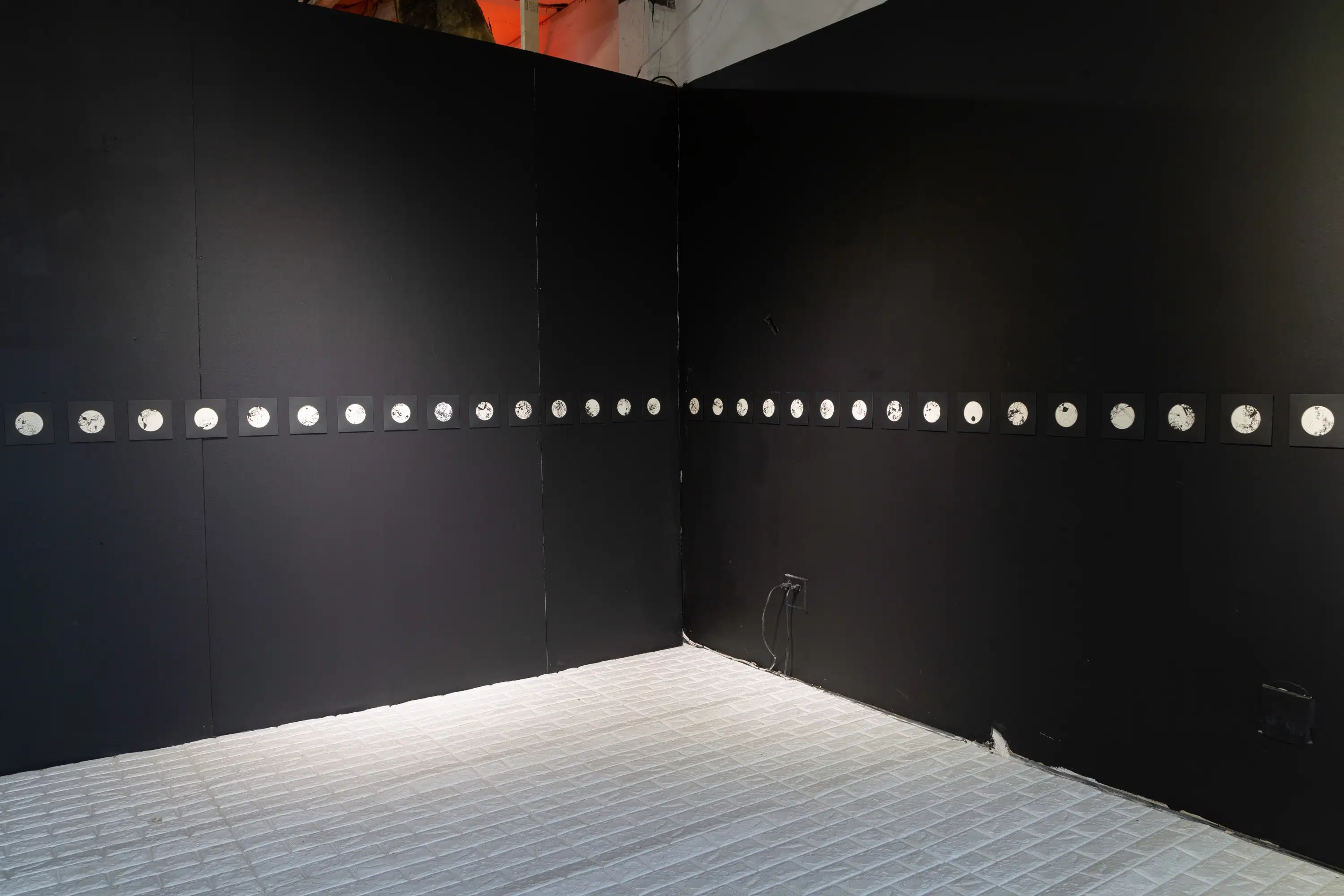 A photograph of a gallery installation.
